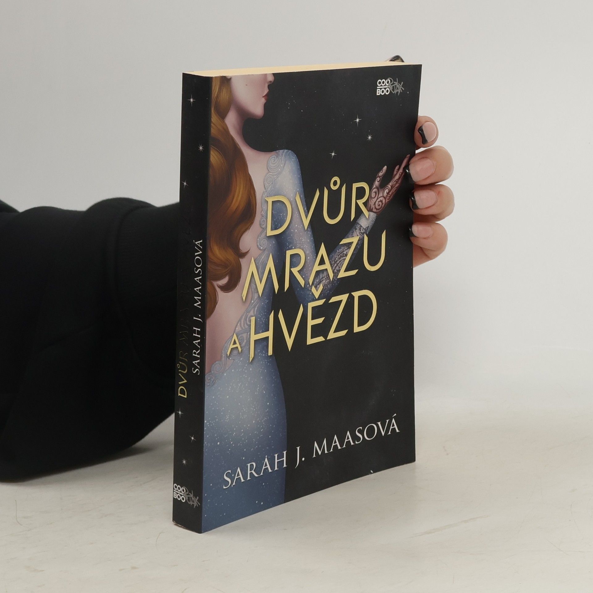 Sarah J. Maas Dvůr mrazu a hvězd