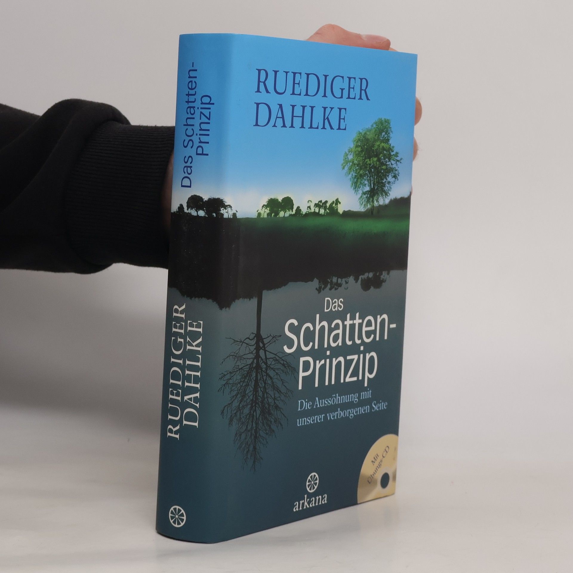 Ruediger Dahlke Das Schatten-Prinzip