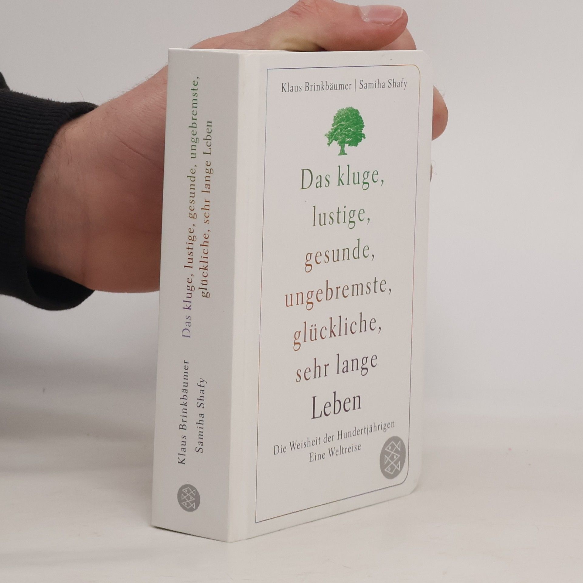 Klaus Brinkbäumer Das kluge, lustige, gesunde, ungebremste, glückliche, sehr lange Leben