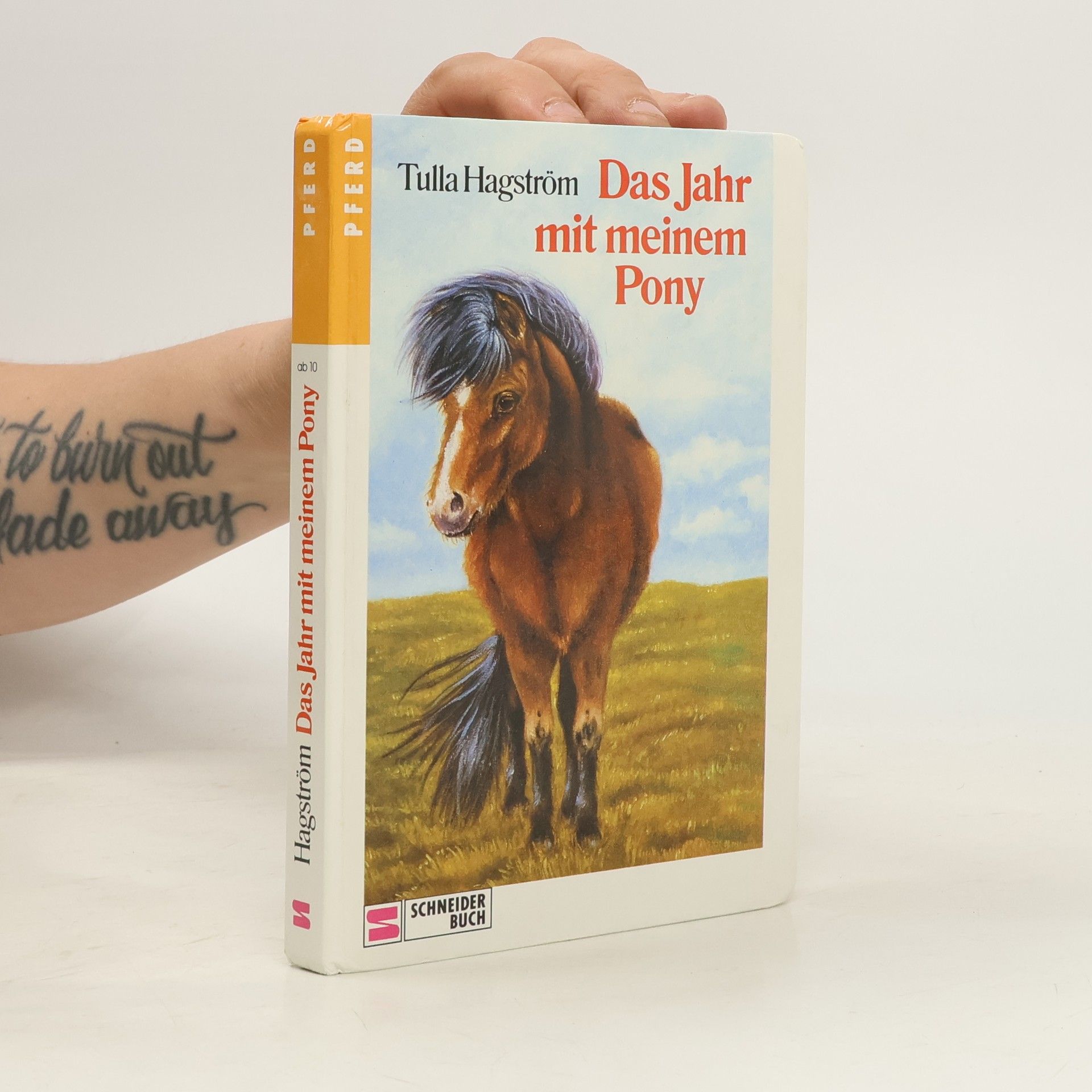 Tulla Hagström Das Jahr mit meinem Pony