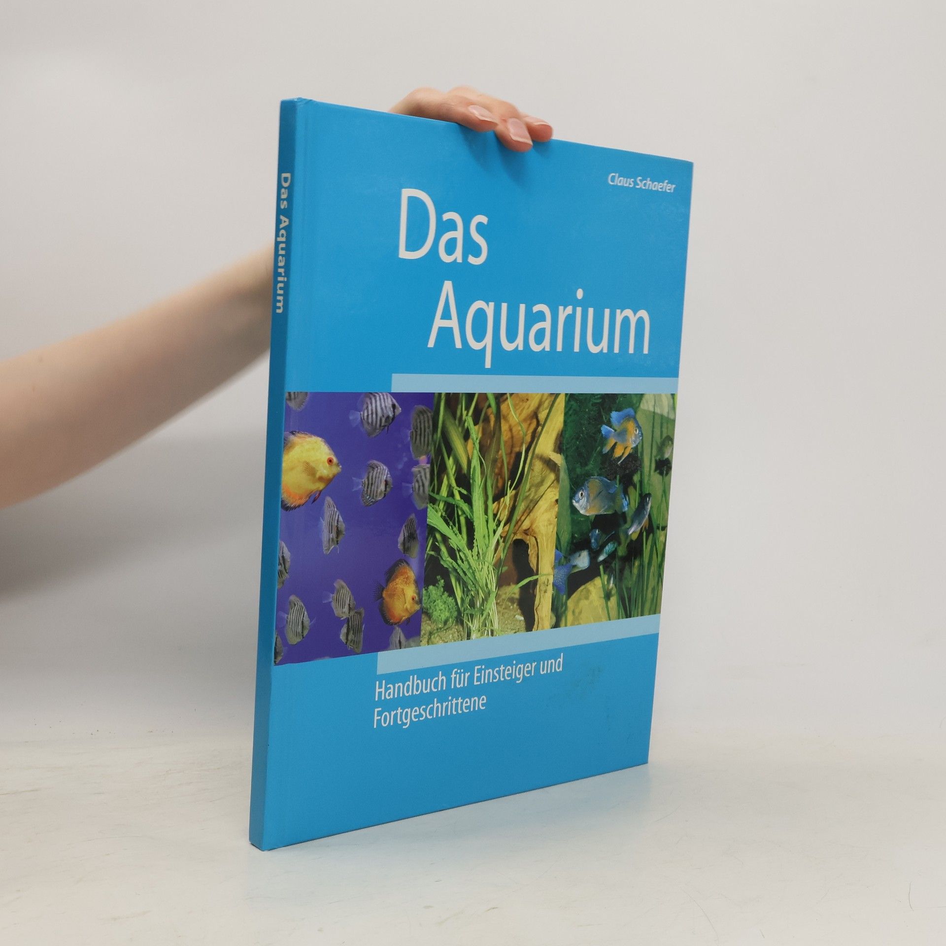 Claus Schaefer Das Aquarium