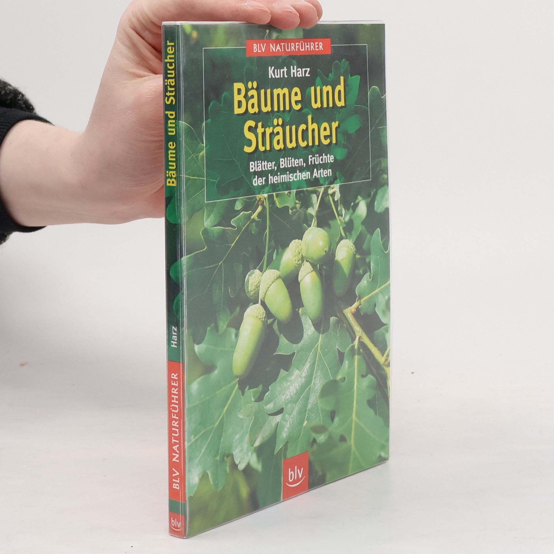 Kurt Harz Bäume und Sträucher