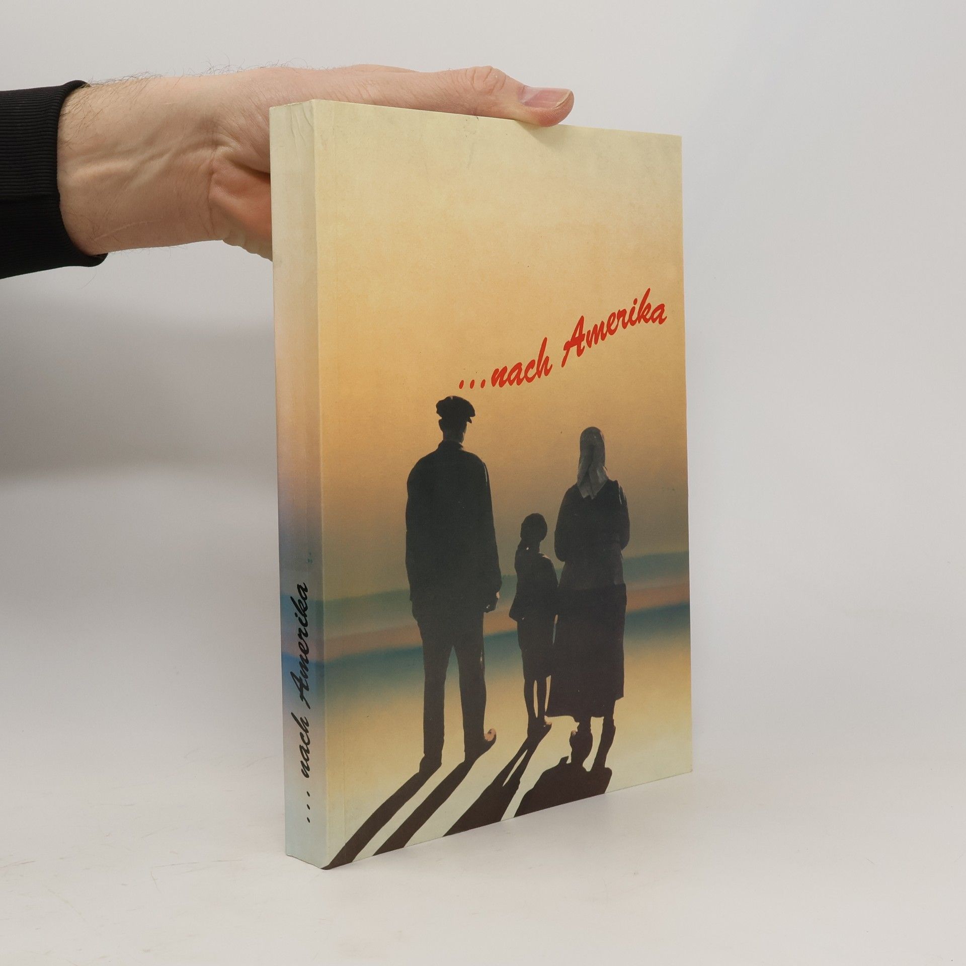 Johann Seedoch ...nach Amerika