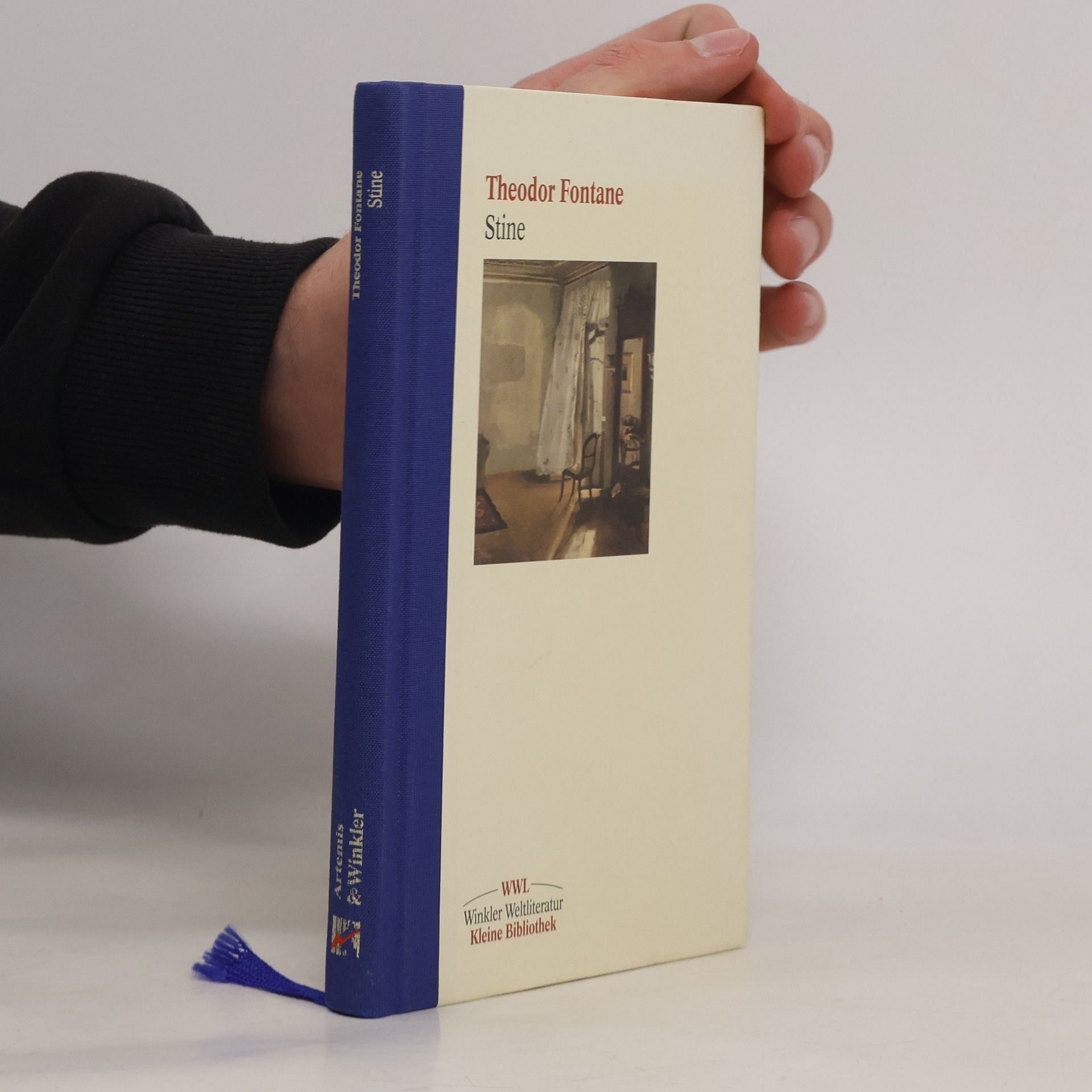 Theodor Fontane Stine
