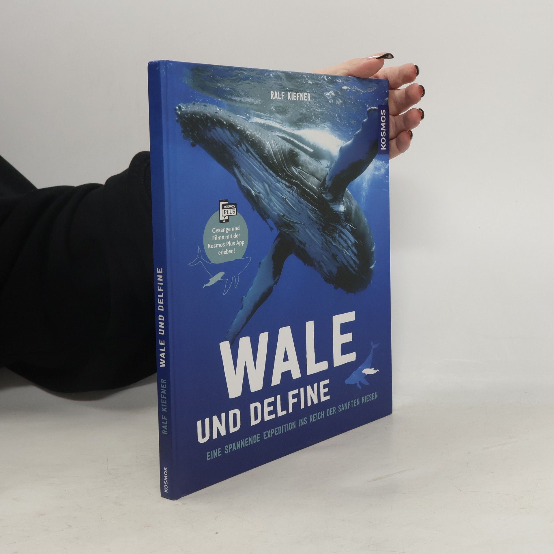 Ralf Kiefner Wale & Delfine