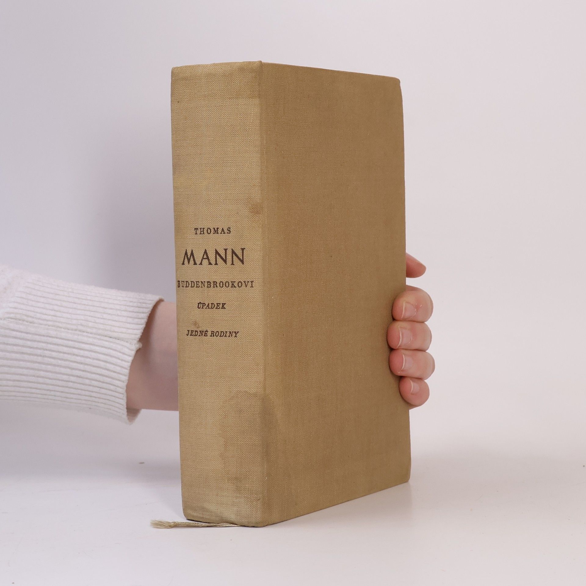 Thomas Mann Buddenbrookovi úpadek jedné rodiny