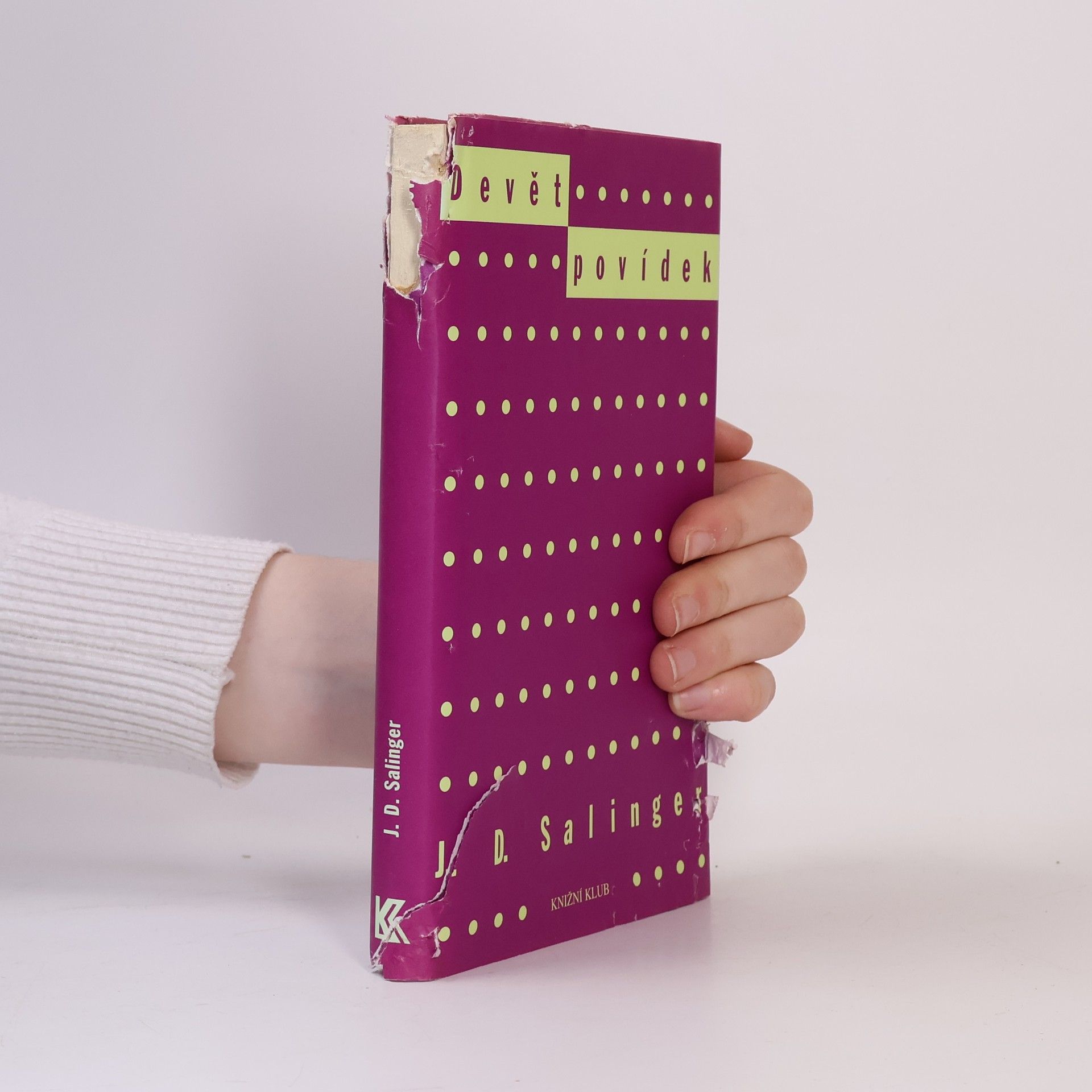 J. D. Salinger Devět povídek