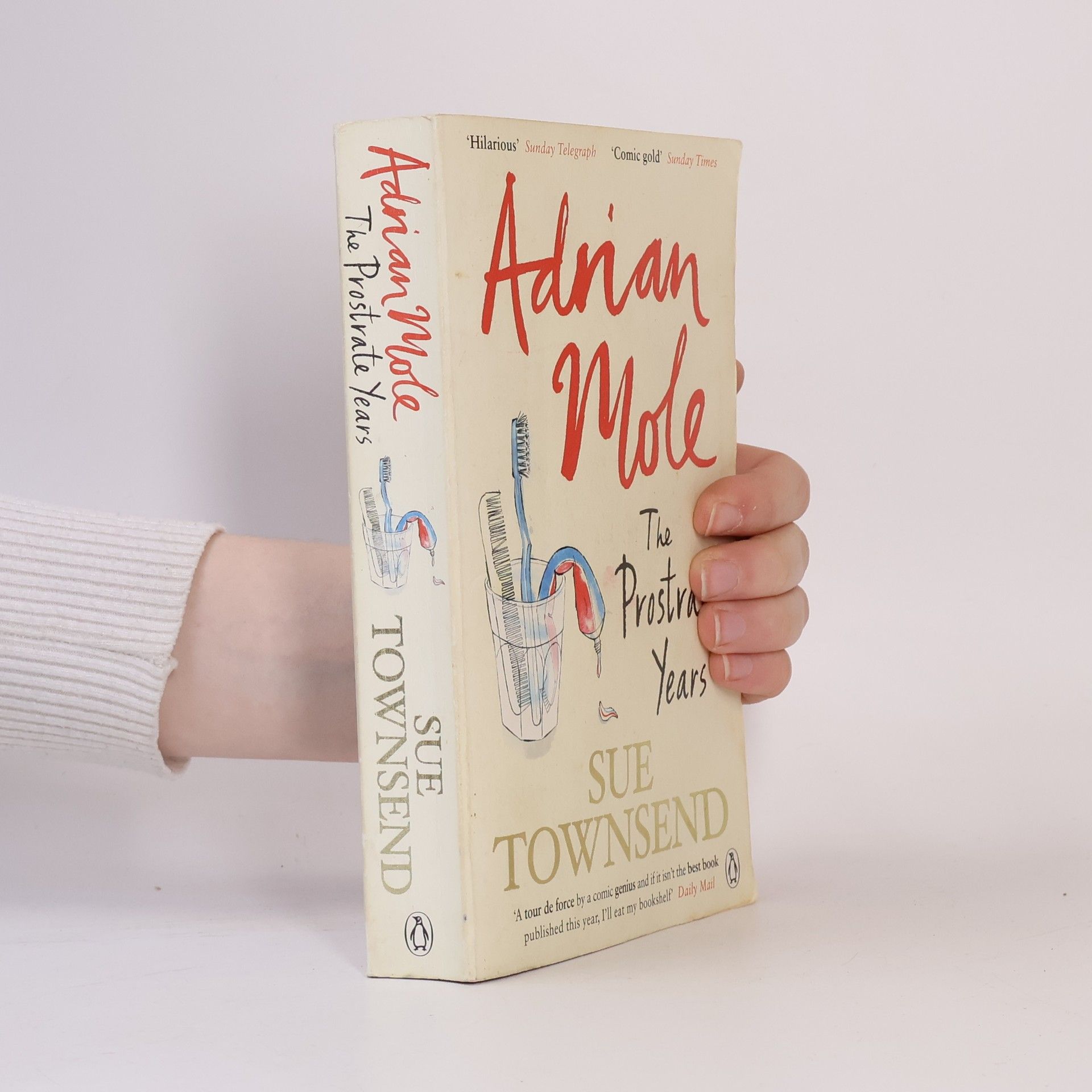 Sue Townsend Adrian Mole: The prostate years