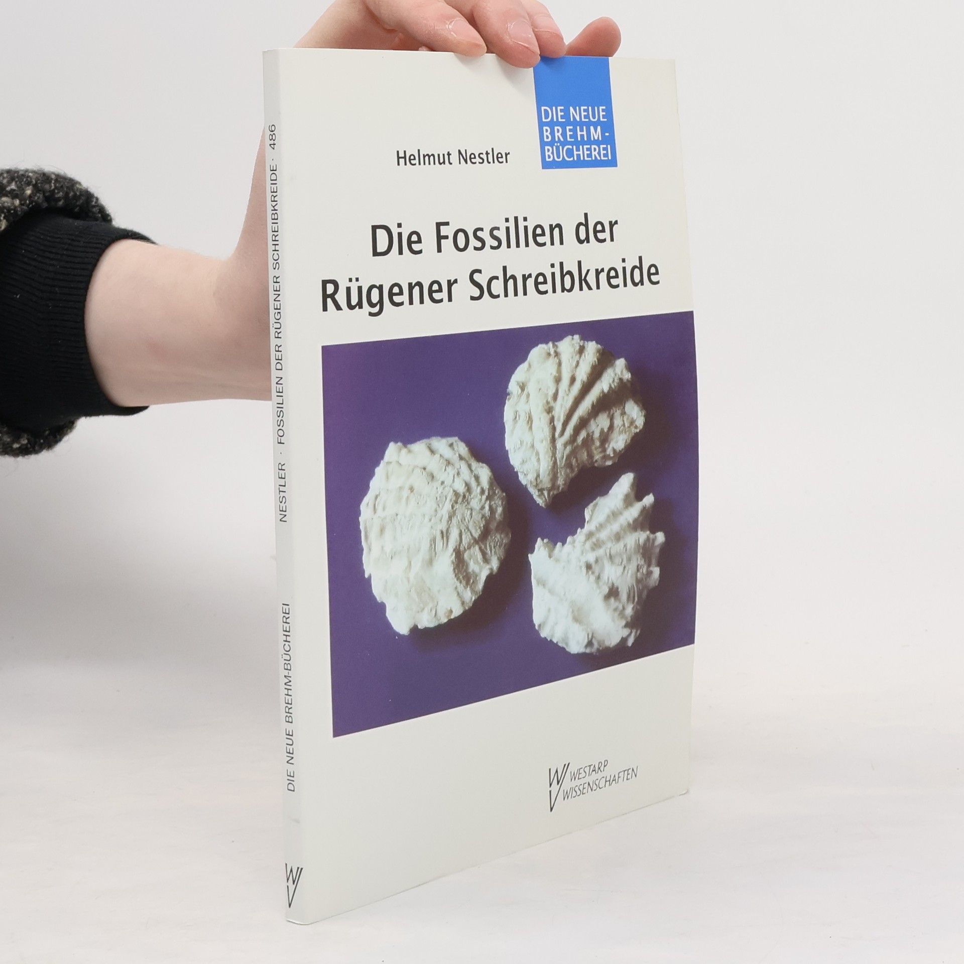 Helmut Nestler Die Fossilien der Rügener Schreibkreide