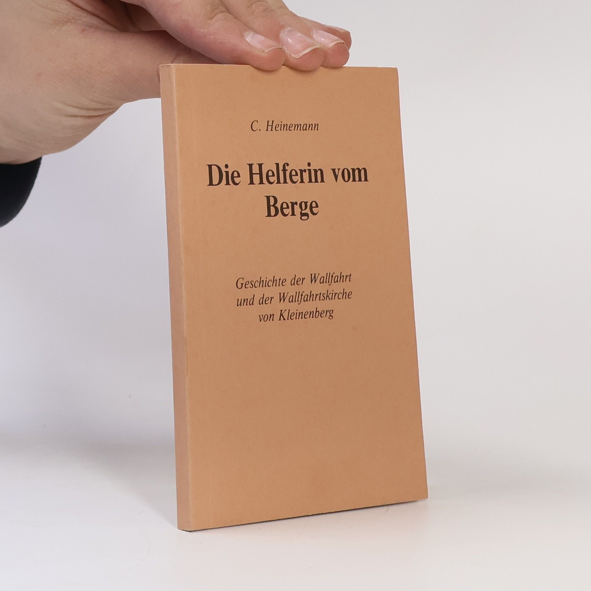 Caspar Heinemann Die Helferin vom Berge