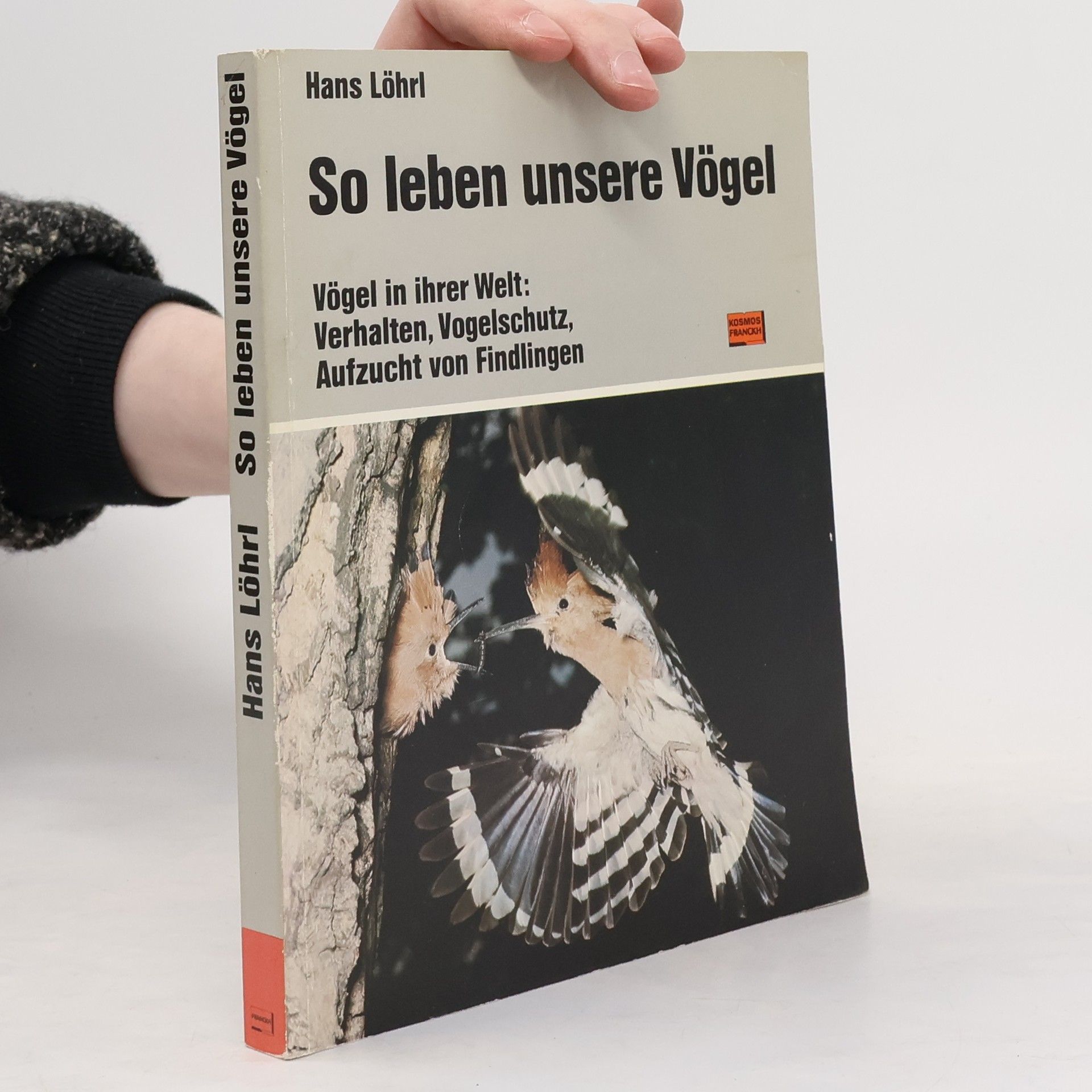 Hans Löhrl Vögel in ihrer Welt
