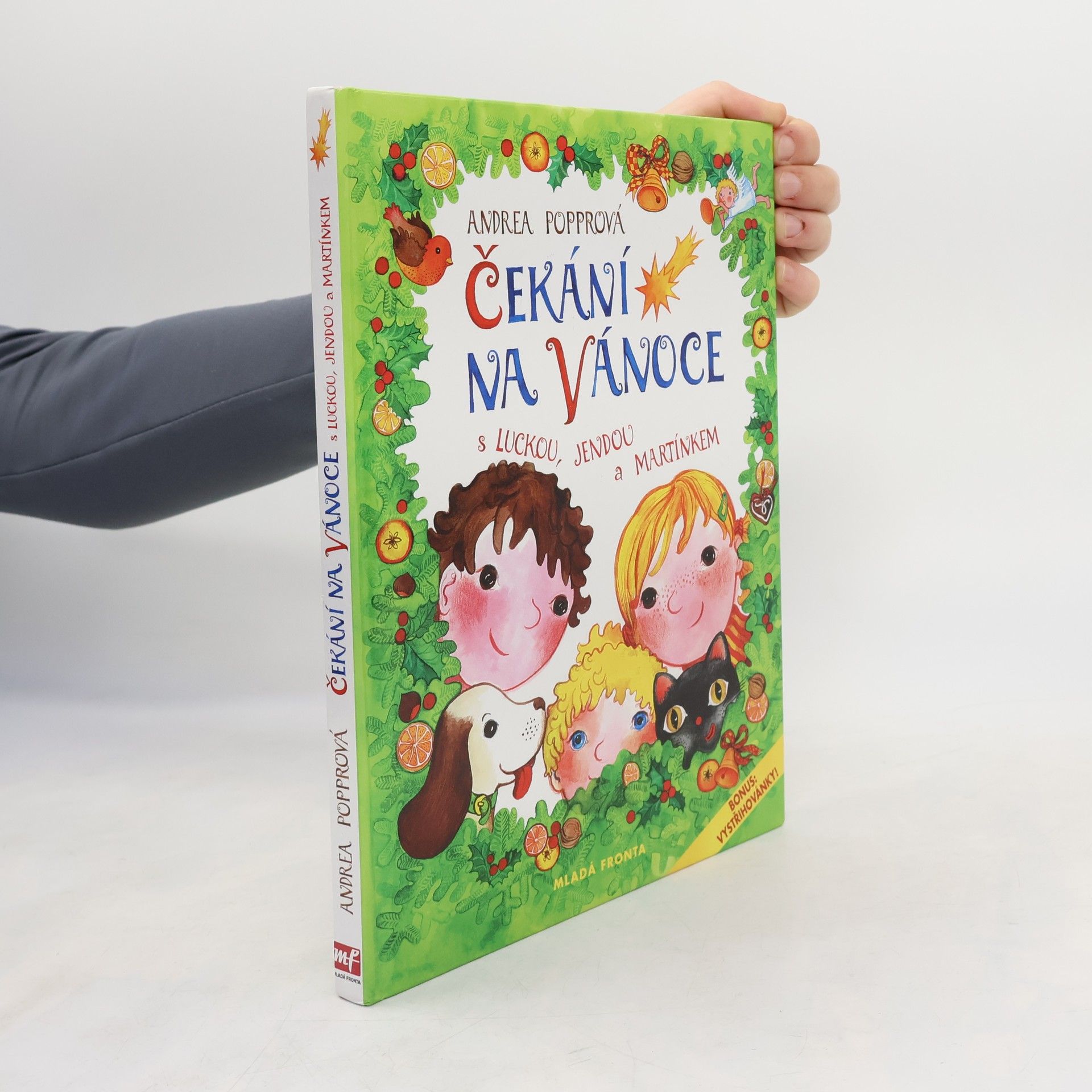 Andrea Popprová Čekání na Vánoce s Luckou, Jendou a Martínkem