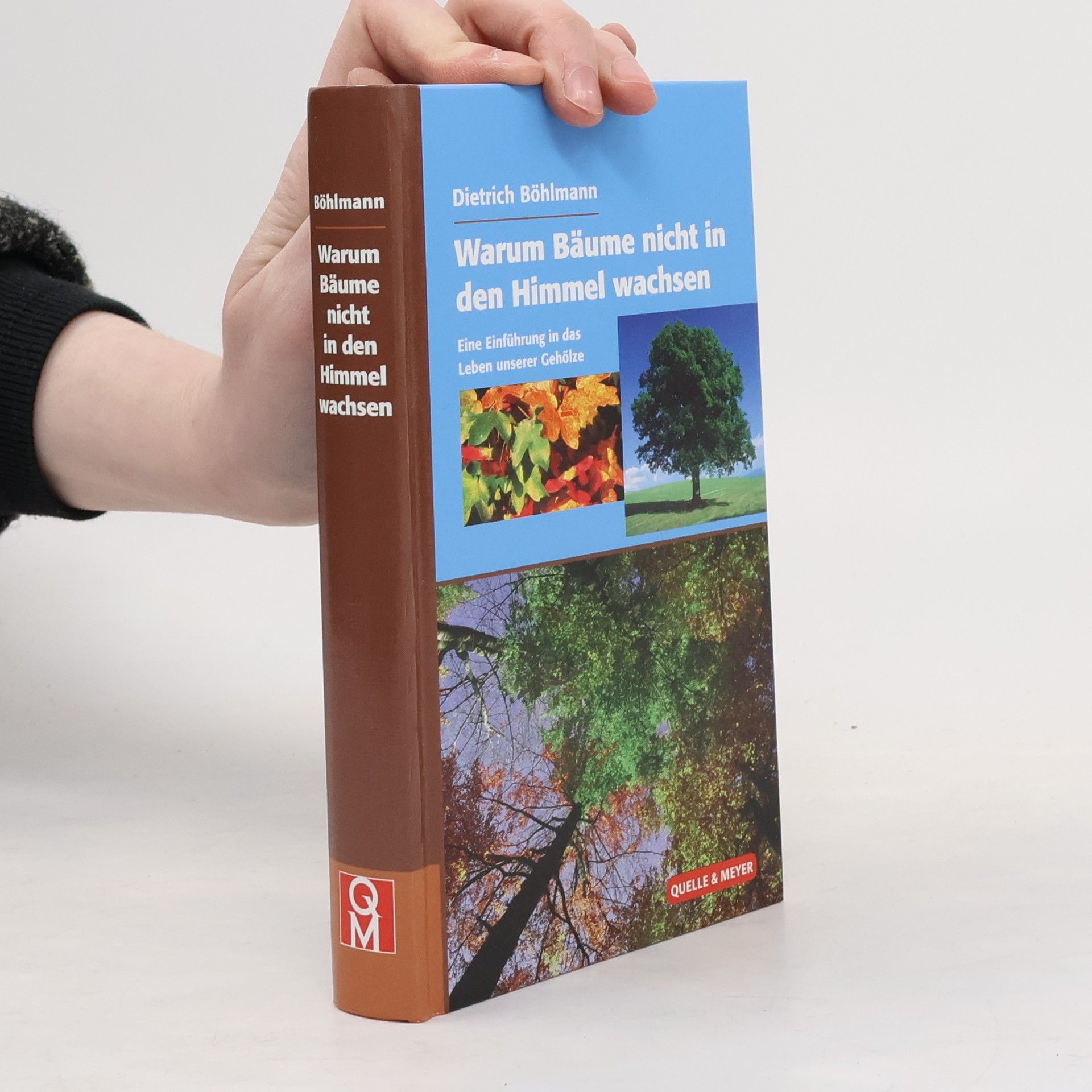 Dietrich Böhlmann Warum Bäume nicht in den Himmel wachsen