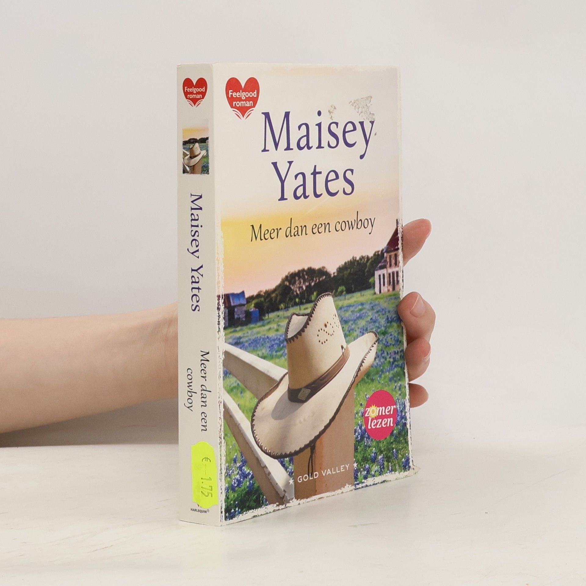 Maisey Yates Meer dan een cowboy