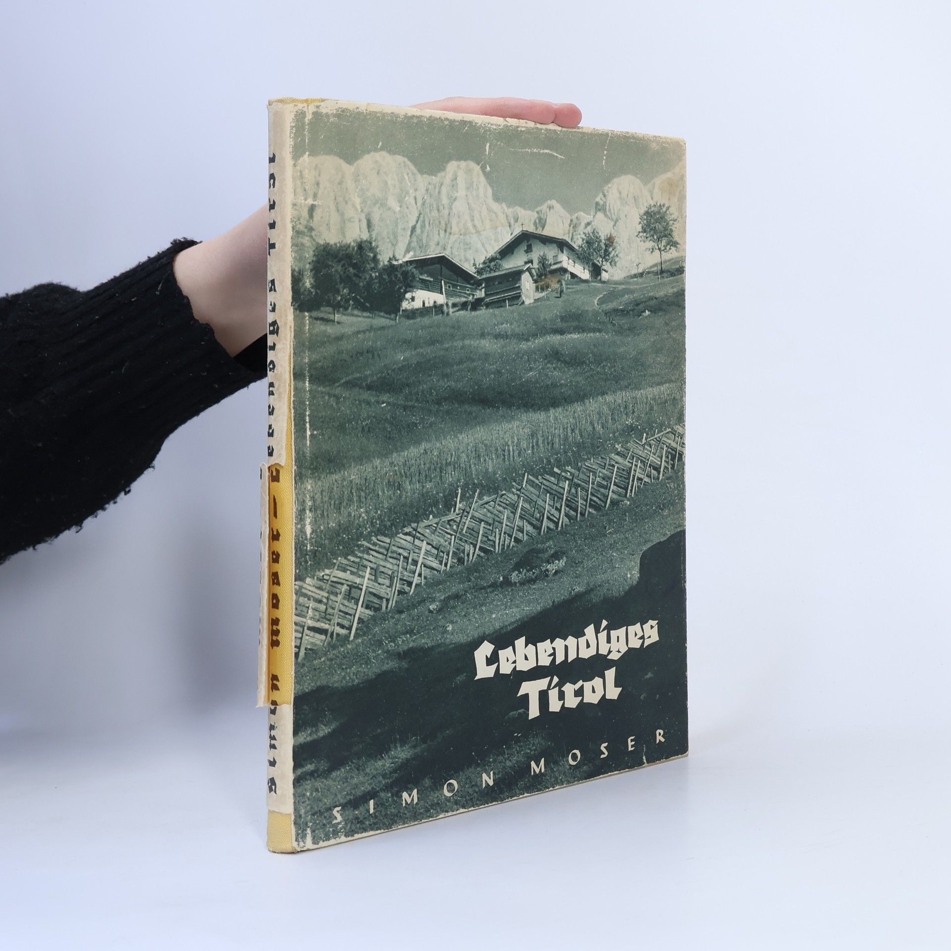 Autores varios Lebendiges Tirol