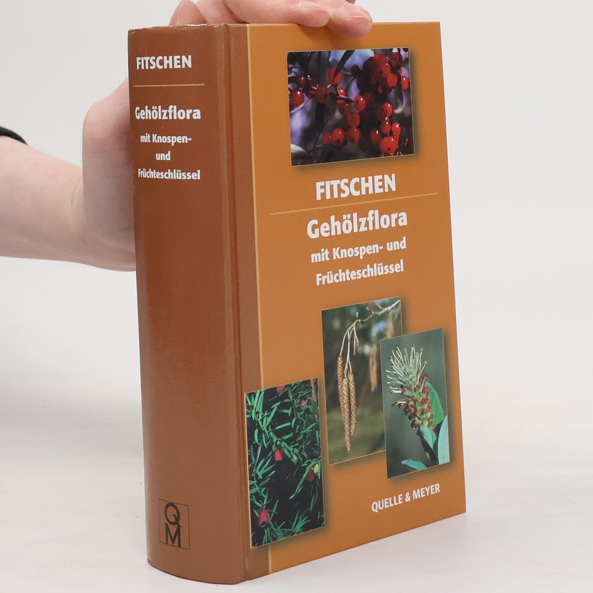 Jost Fitschen Gehölzflora