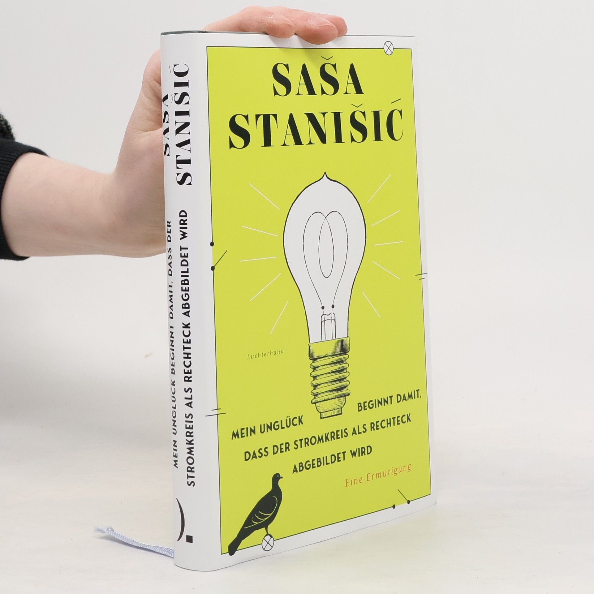 Saša Stanišič Mein Unglück beginnt damit, dass der Stromkreis als Rechteck abgebildet wird