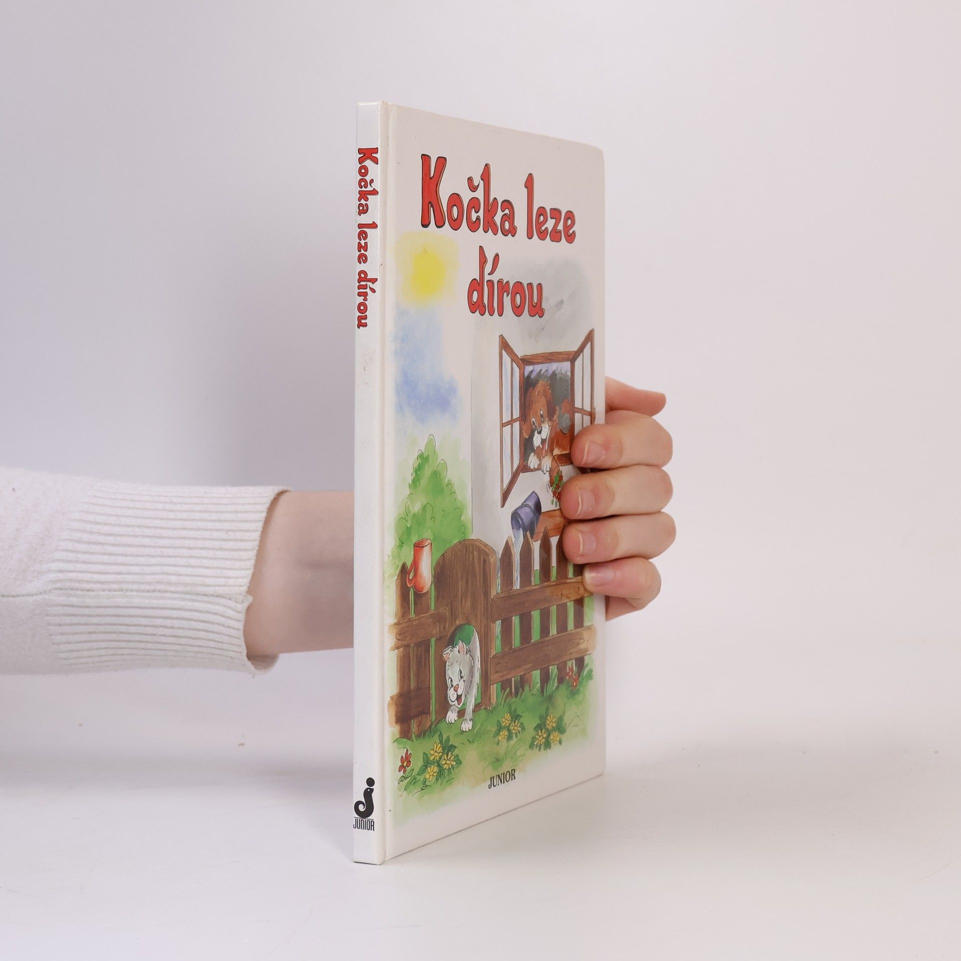 Vladimíra Vopičková Kočka leze dírou