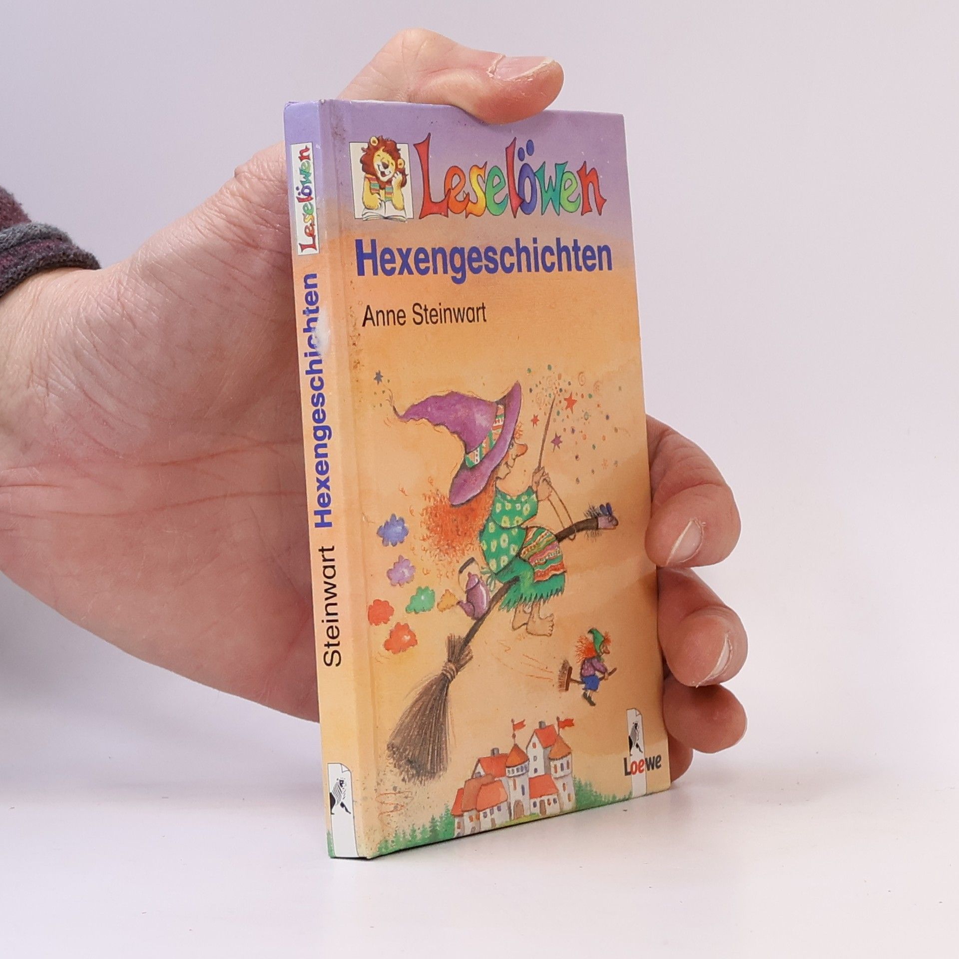 Anne Steinwart Leselöwen-Hexengeschichten