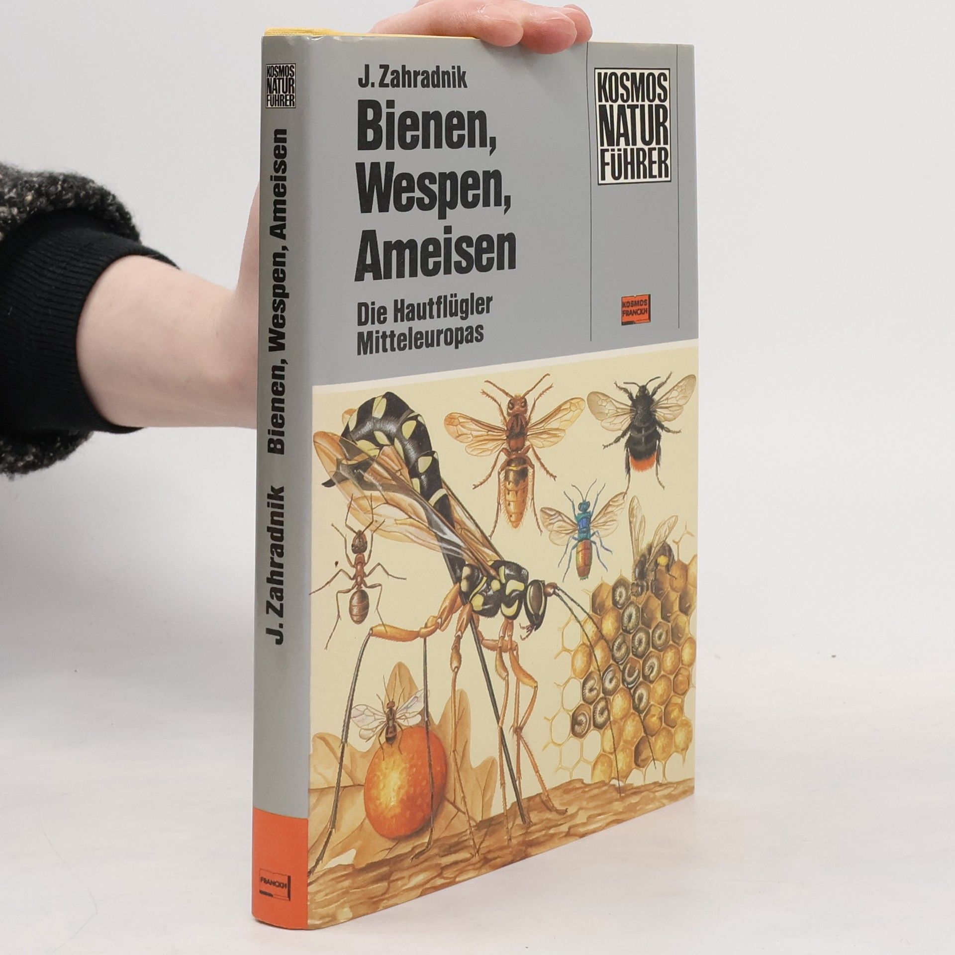 Jiří Zahradník Bienen, Wespen, Ameisen