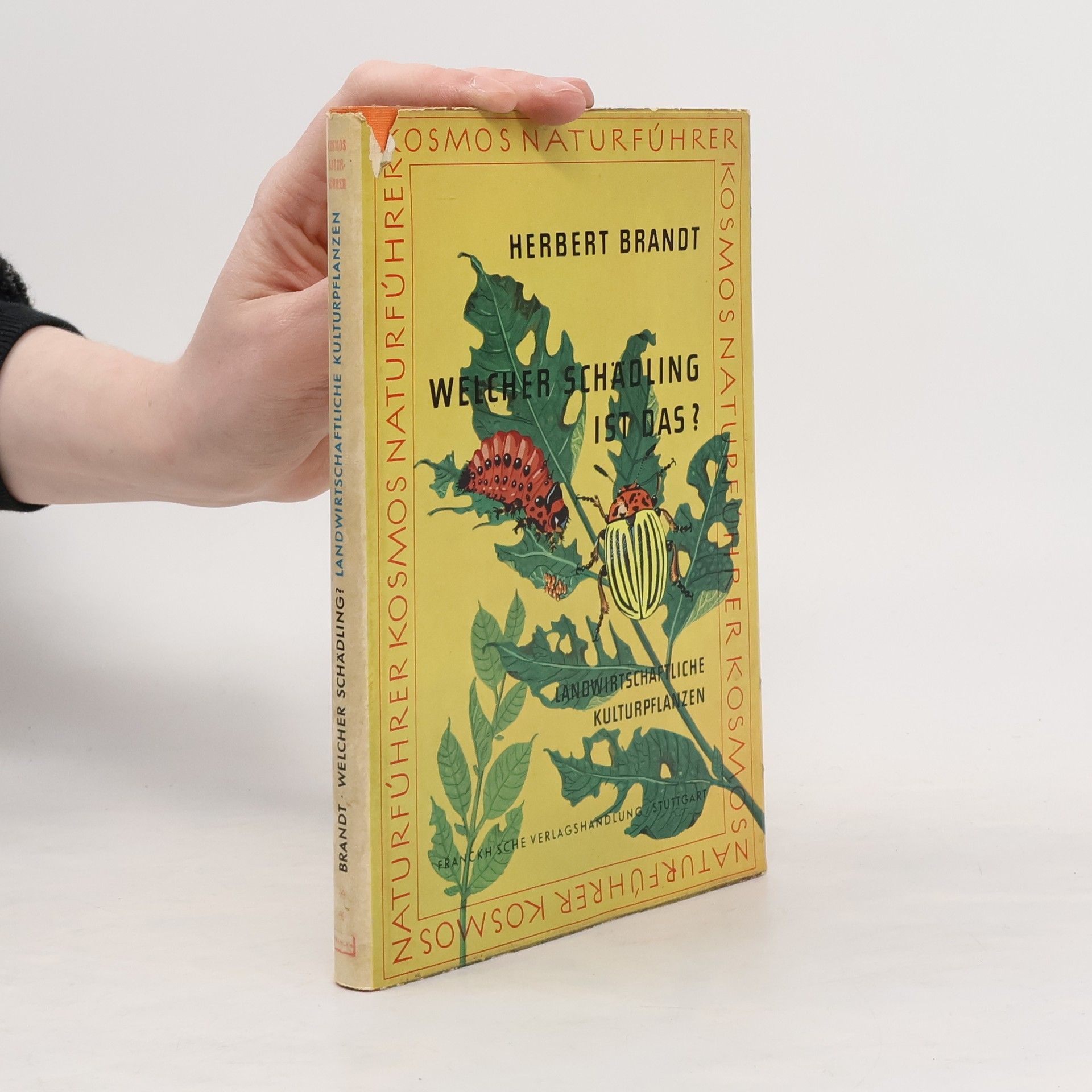 Herbert Brandt Welcher Schädling ist das?