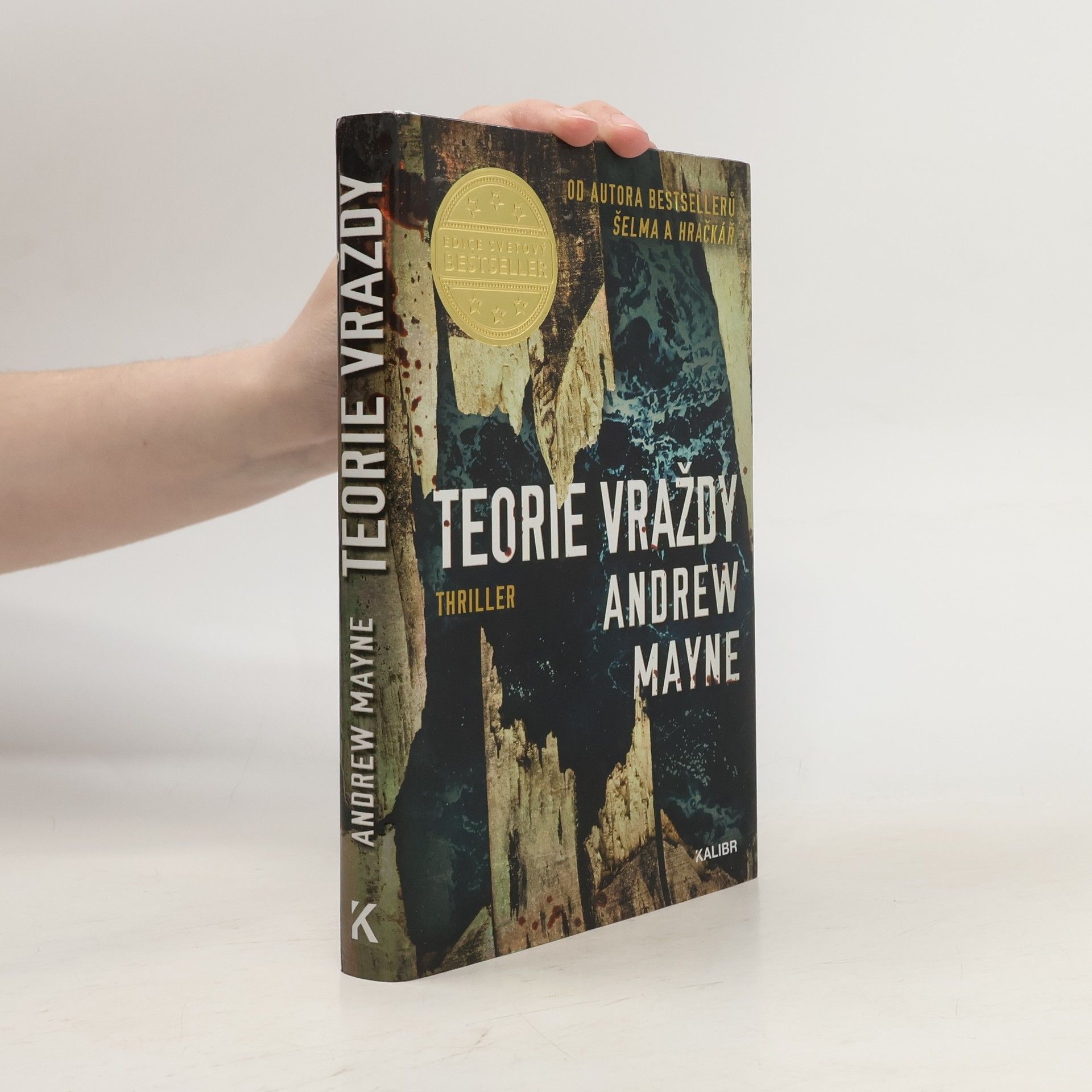 Andrew Mayne Teorie vraždy