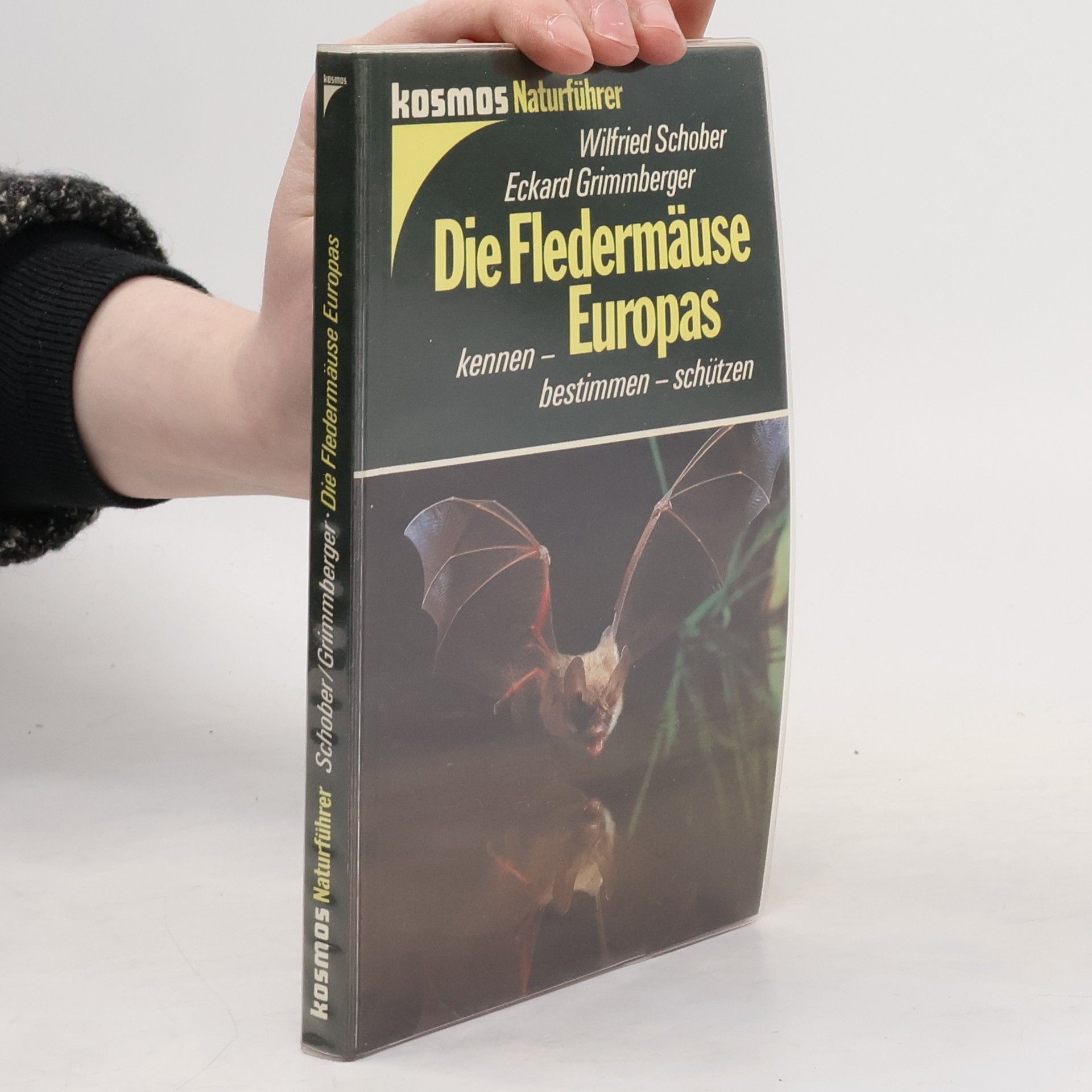 Wilfried Schober Die Fledermäuse Europas : kennen - bestimmen - schützen