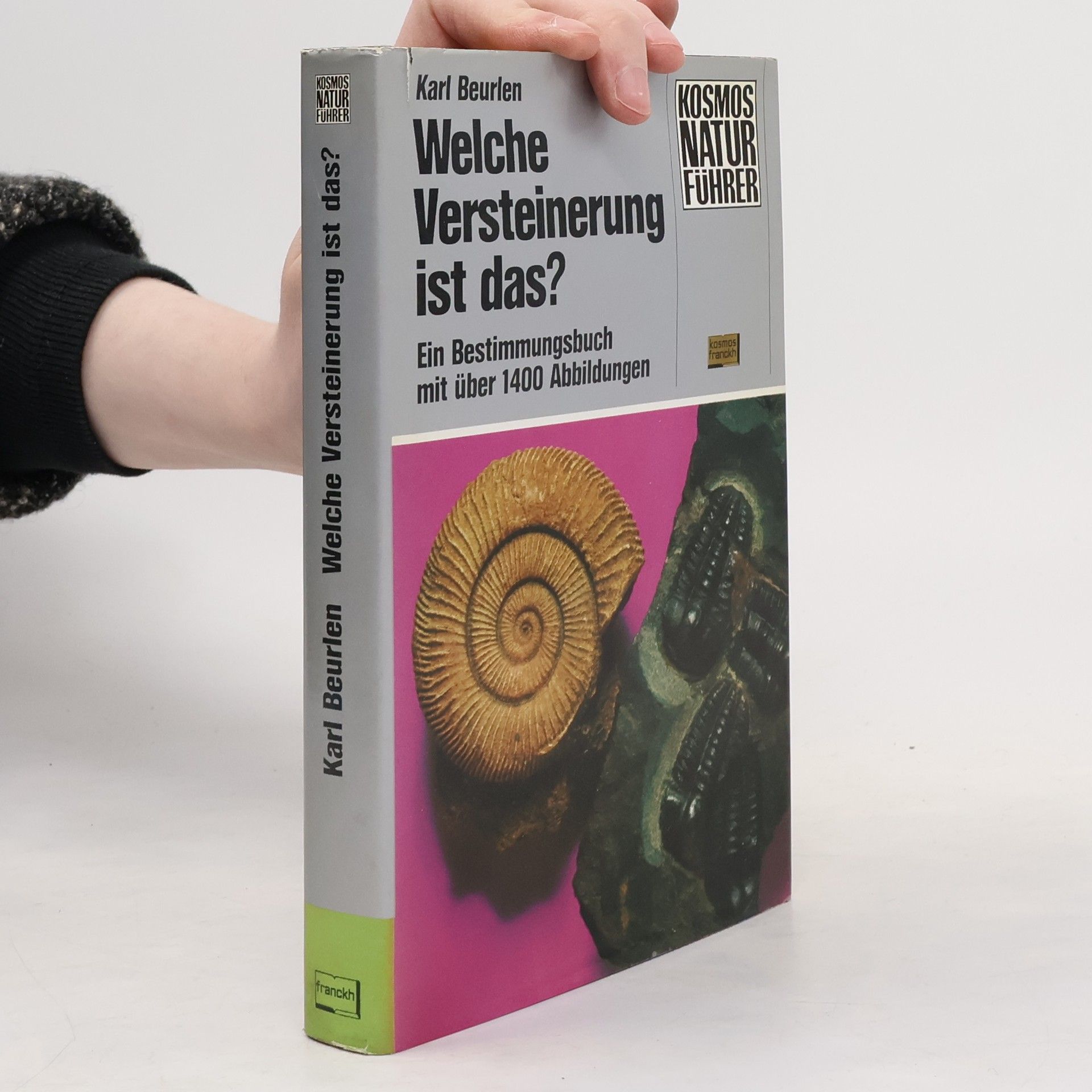 Karl Beurlen Welche Versteinerung ist das?