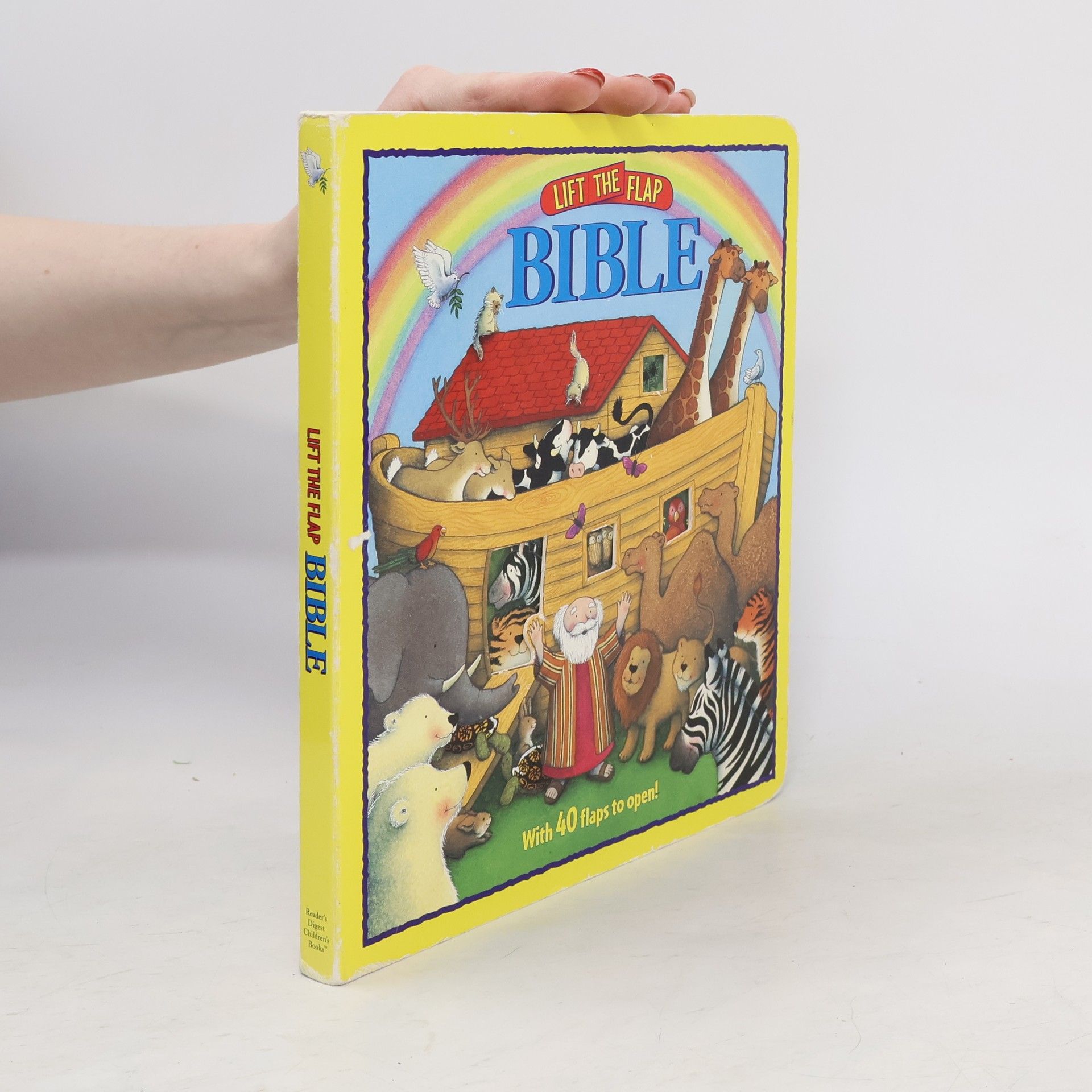 Tracy Moroney Lift-the-Flap Book: Lift-the-Flap Bible