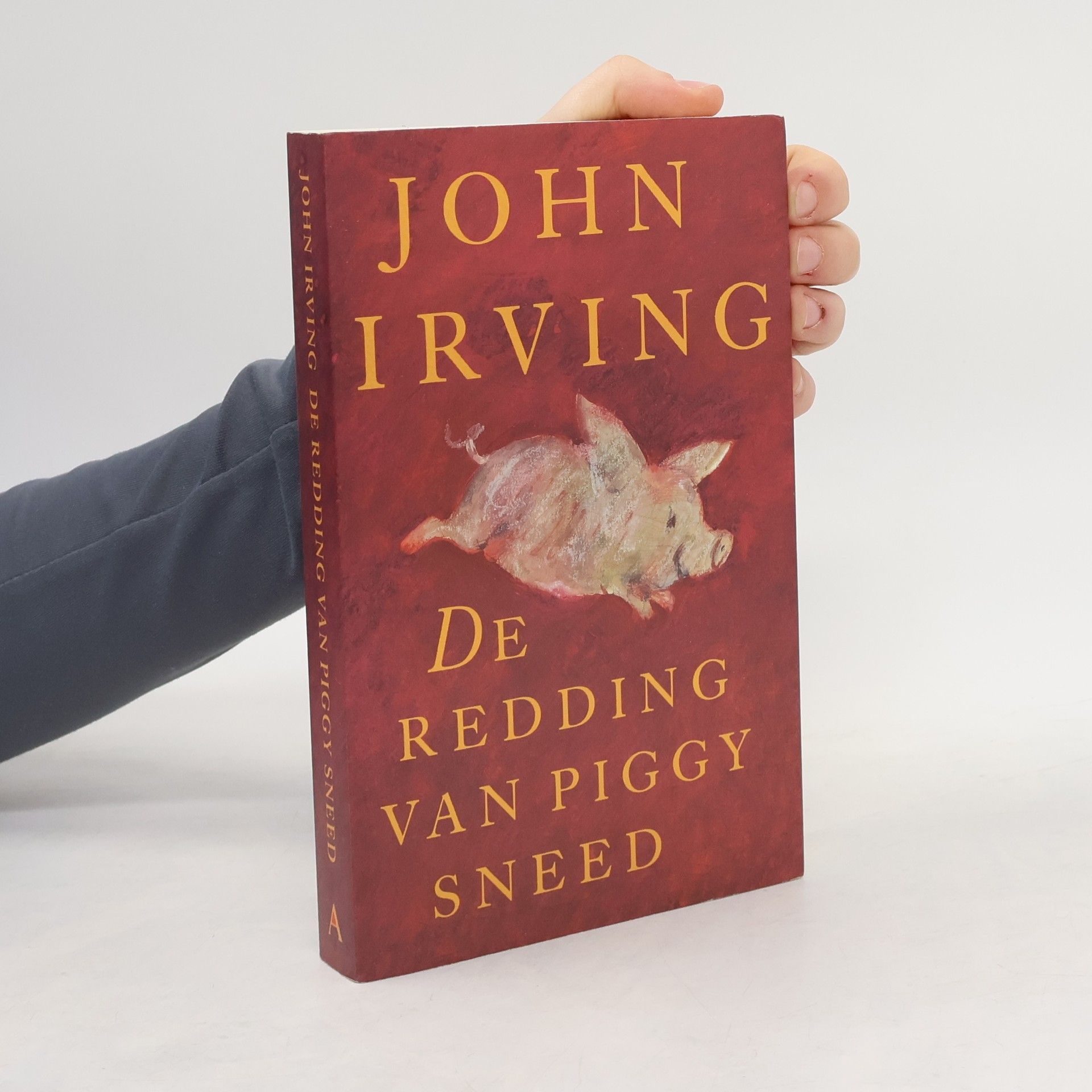 John Irving De redding van Piggy Sneed