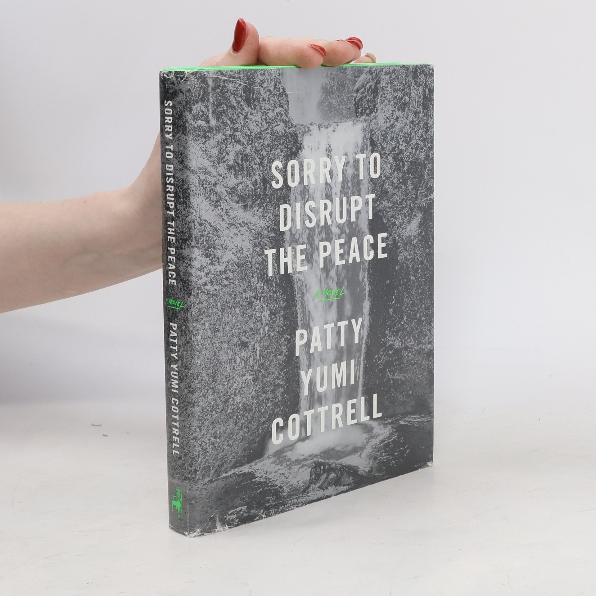 Patty Yumi Cottrell Sorry to Disrupt the Peace