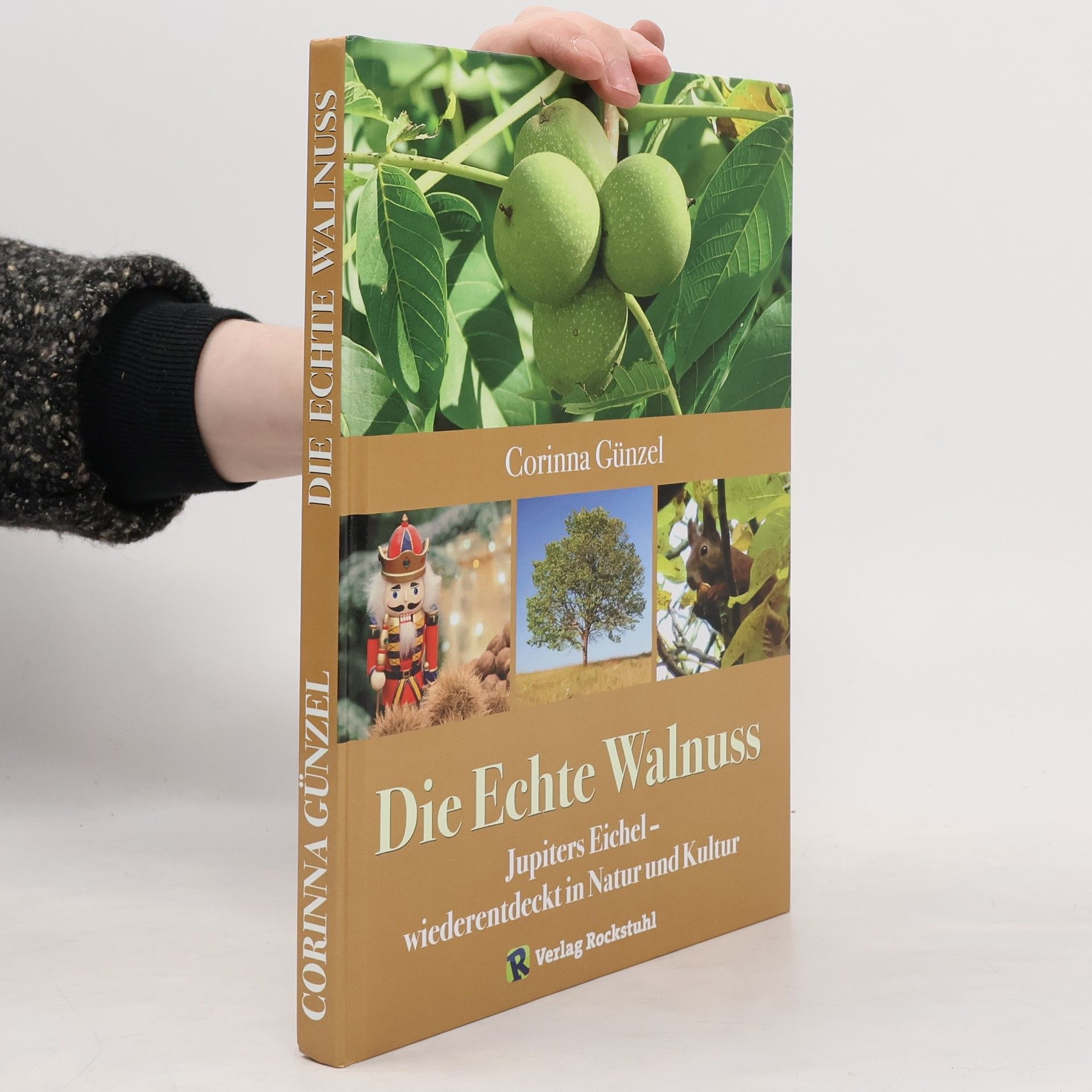 Corinna Günzel Die Echte Walnuss