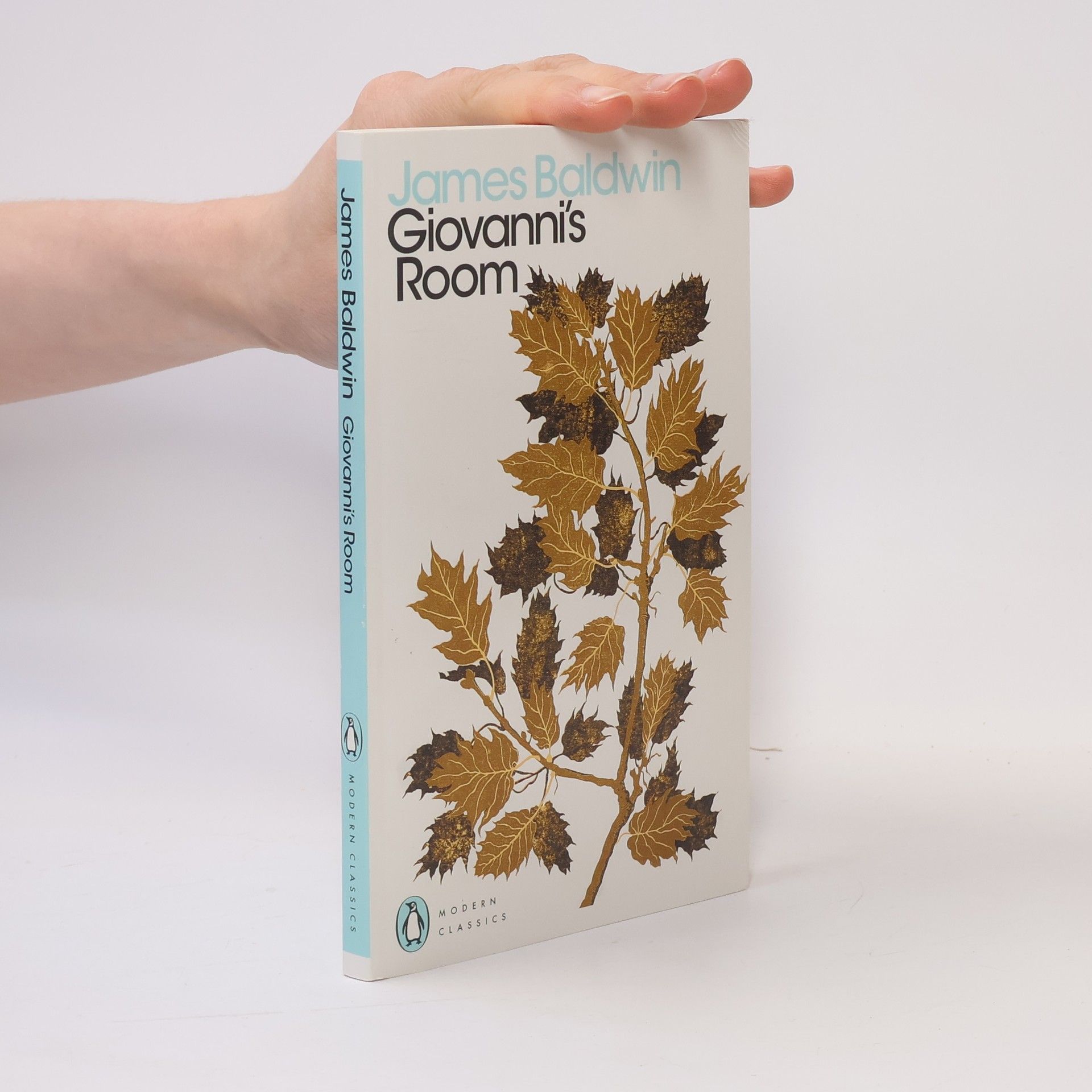 James Arthur Baldwin Giovanni's Room