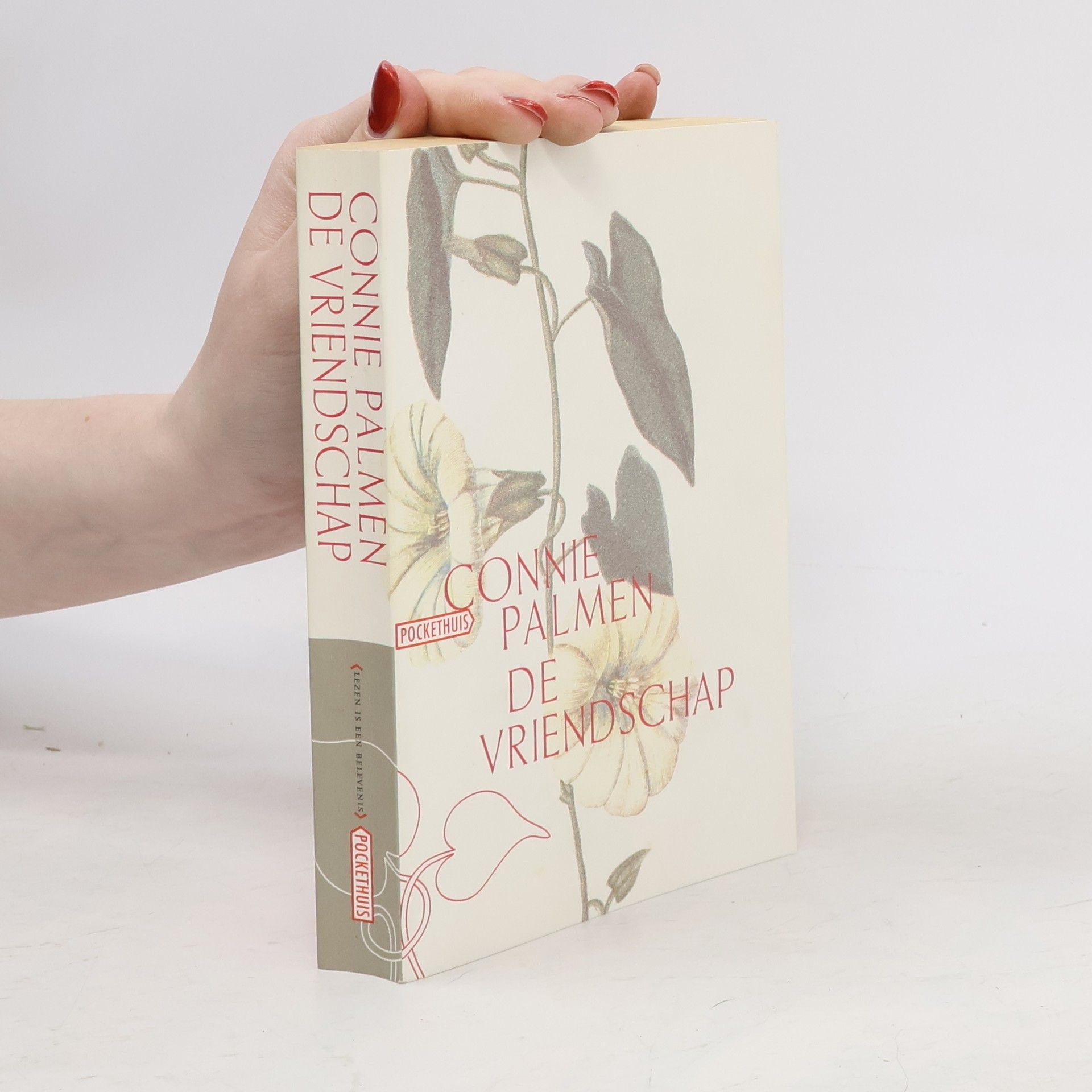 Aldegonda Petronella Huberta Maria Palmen De vriendschap