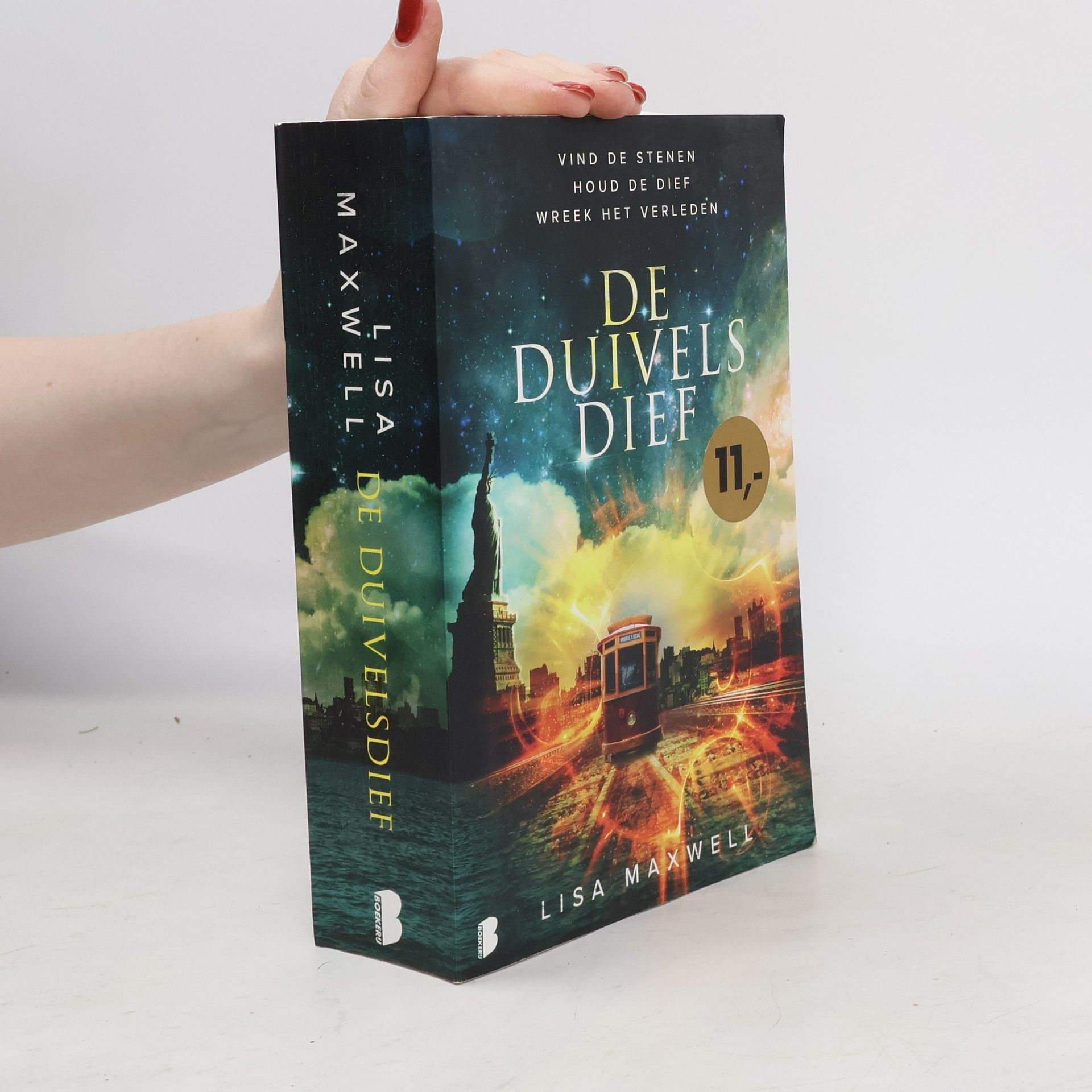 Lisa Maxwell De duivels dief