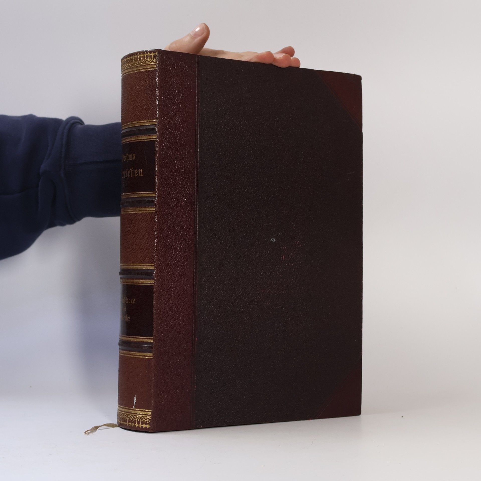 Alfred Edmund Brehm Die Kriechtiere und Lurche