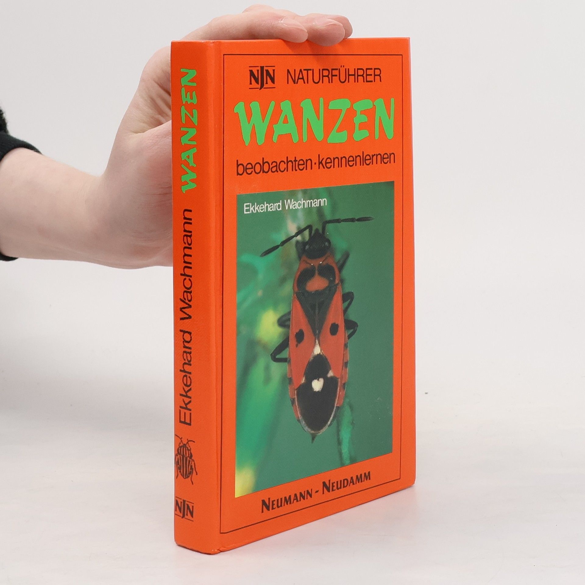 Ekkehard Wachmann Wanzen beobachten - kennenlernen