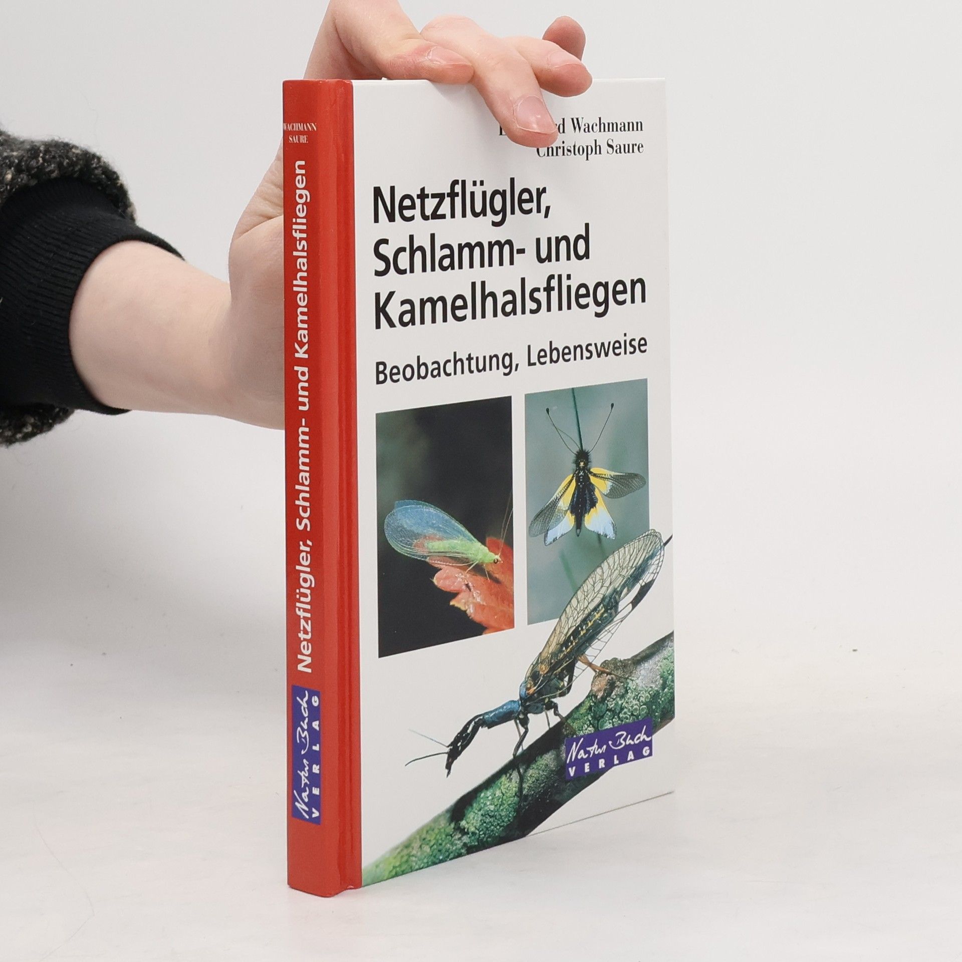 Ekkehard Wachmann Netzflügler, Schlamm- und Kamelhalsfliegen