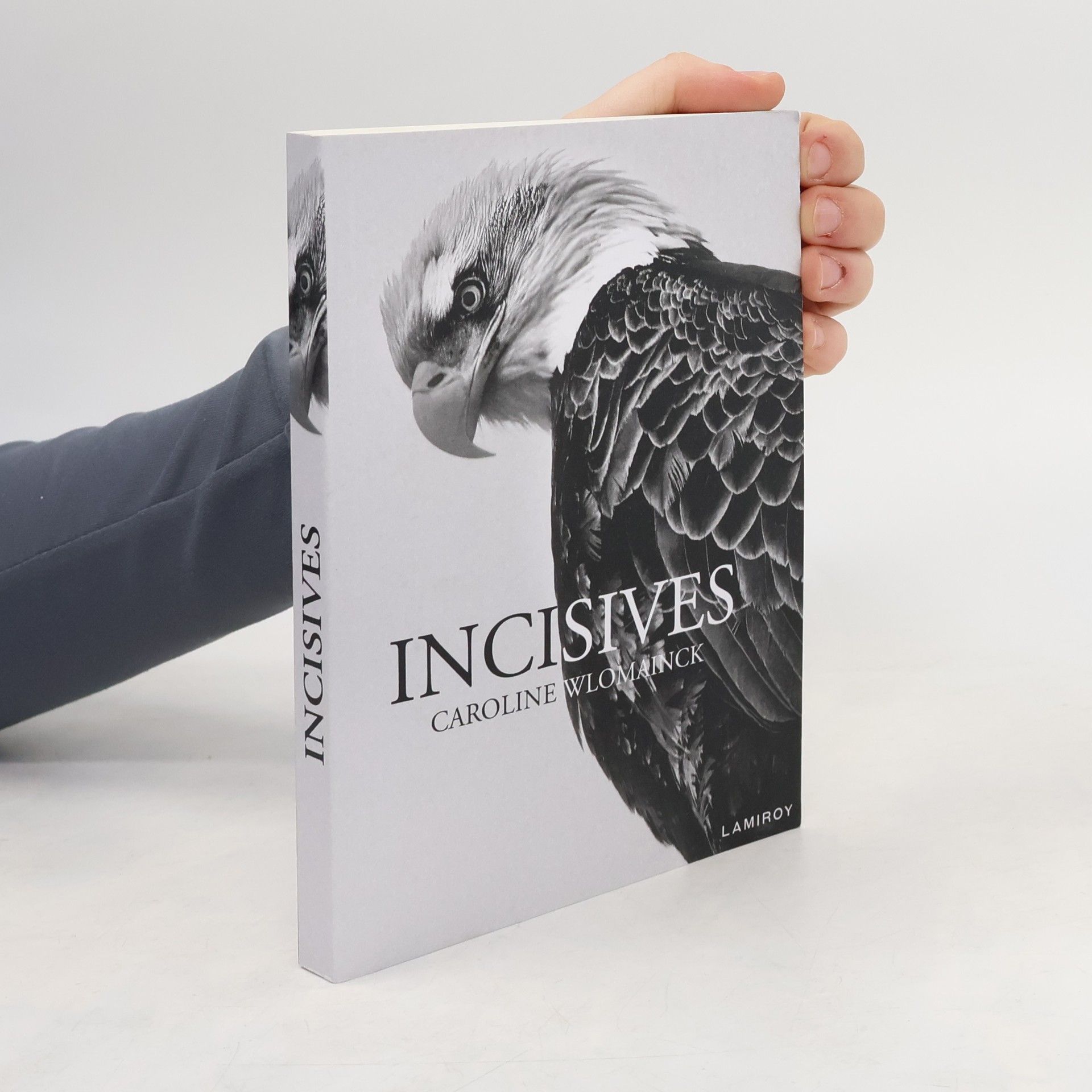 Caroline Wlomainck Incisives