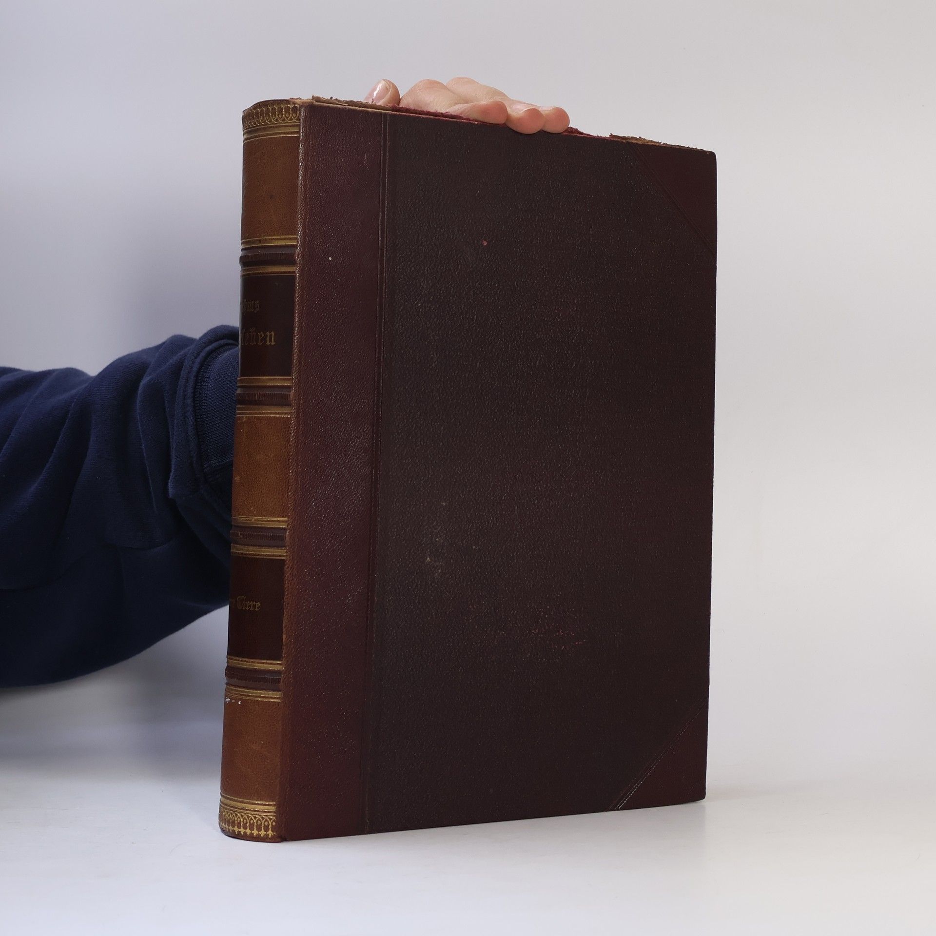 Alfred Edmund Brehm Brehms Tierleben. Niedere Tiere