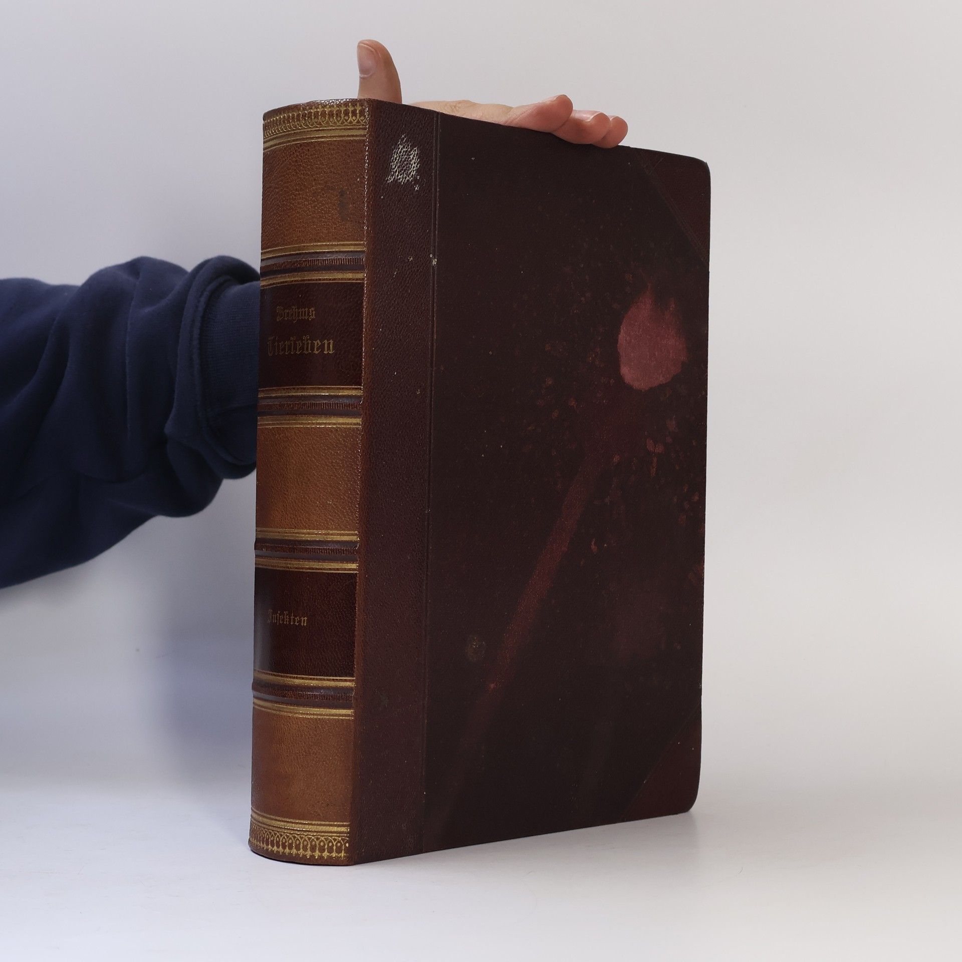 Autorenkollektiv Brehms Tierleben. Insekten