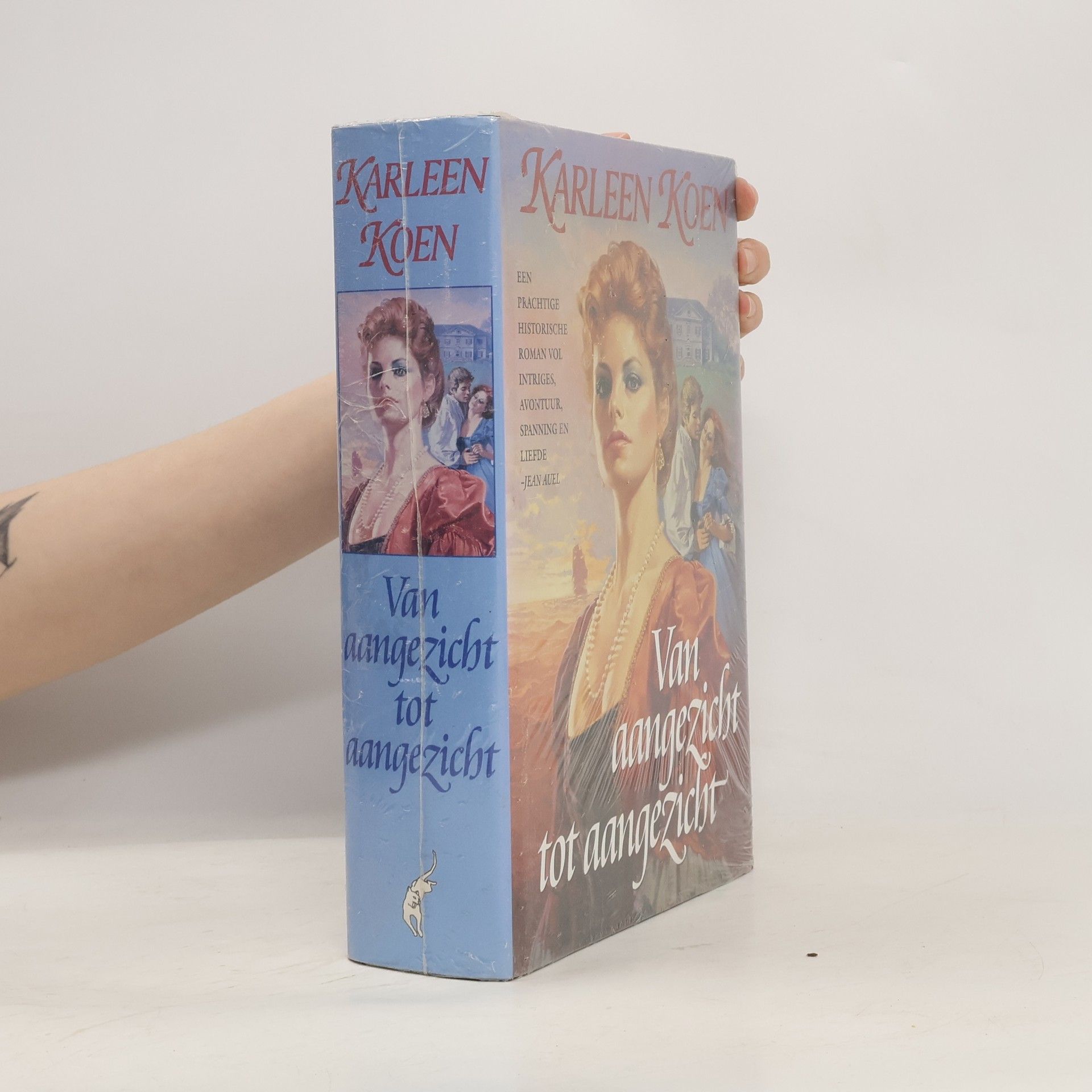 Karleen Koen Van aangezicht tot aangezicht