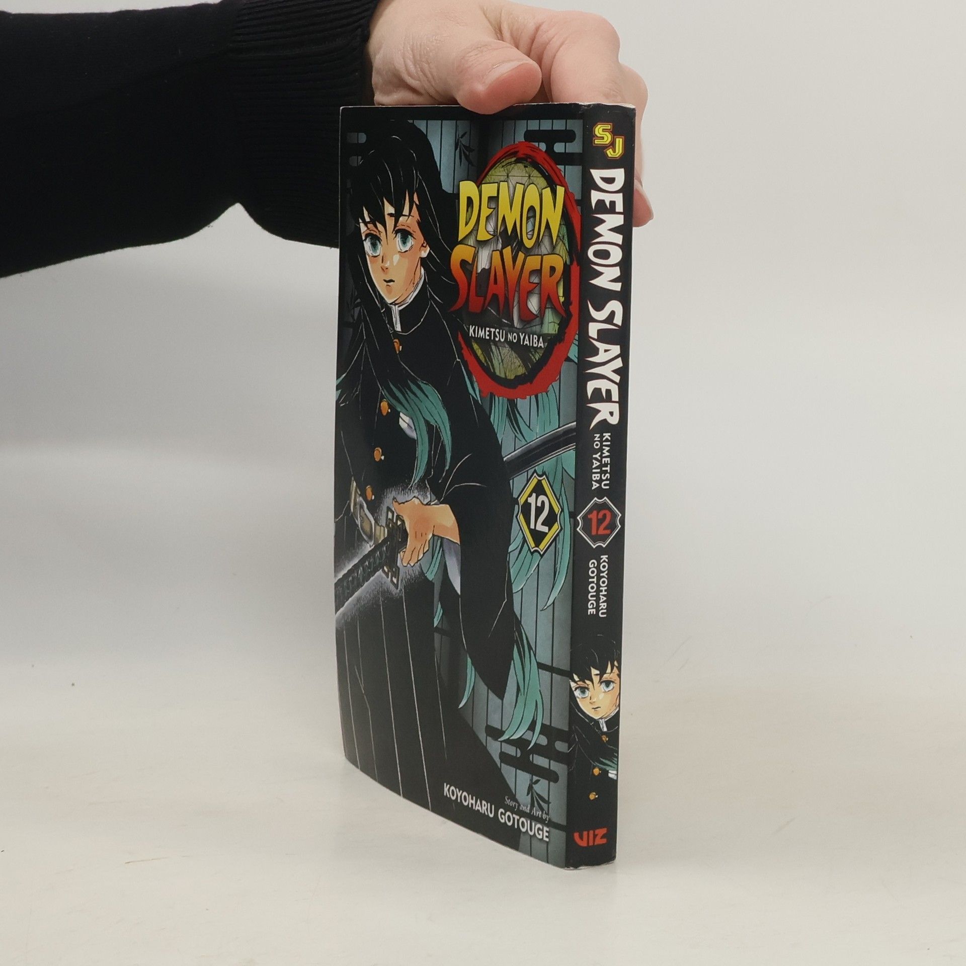 Kojoharu Gotógeová Demon Slayer. Kimetsu no Yaiba 12