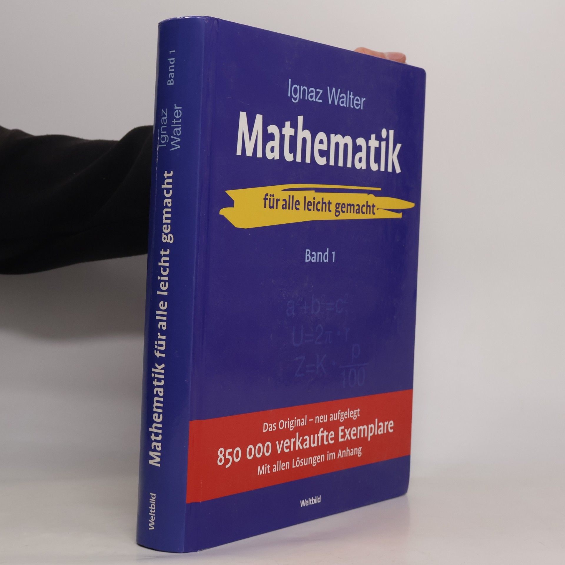 Ignaz Walter Mathematik Band 1 - für alle leicht gemacht