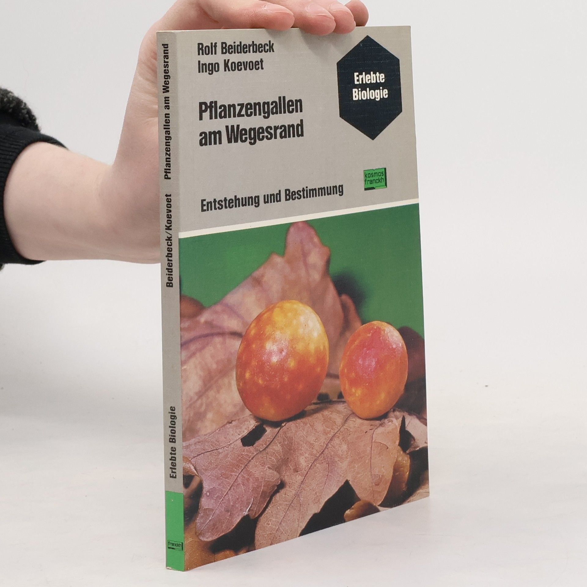 Rolf Beiderbeck Pflanzengallen am Wegesrand