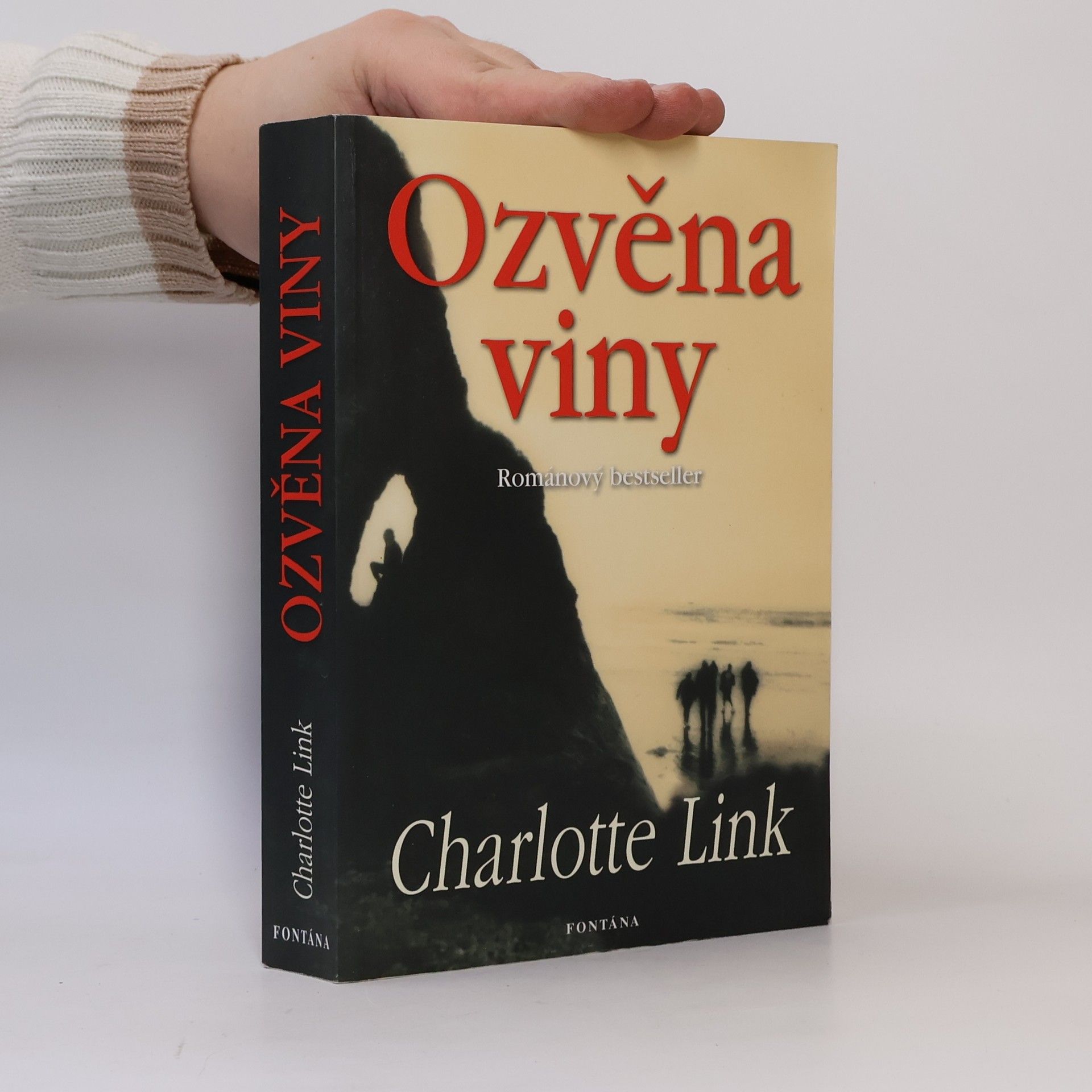 Charlotte Link Ozvěna viny