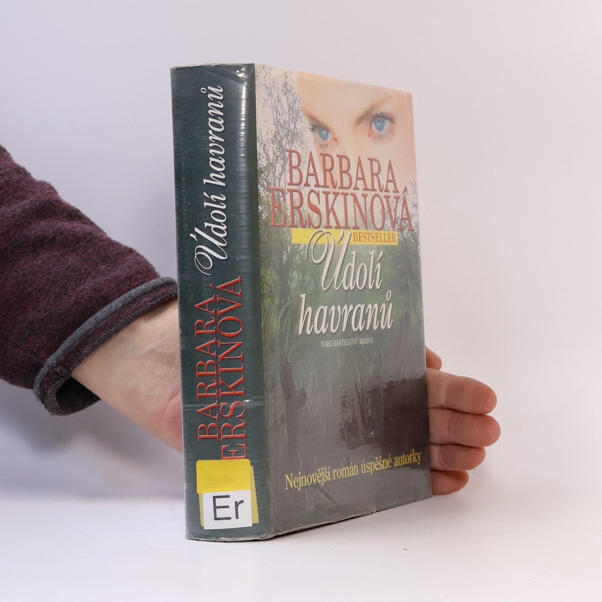 Barbara Erskine Údolí havranů