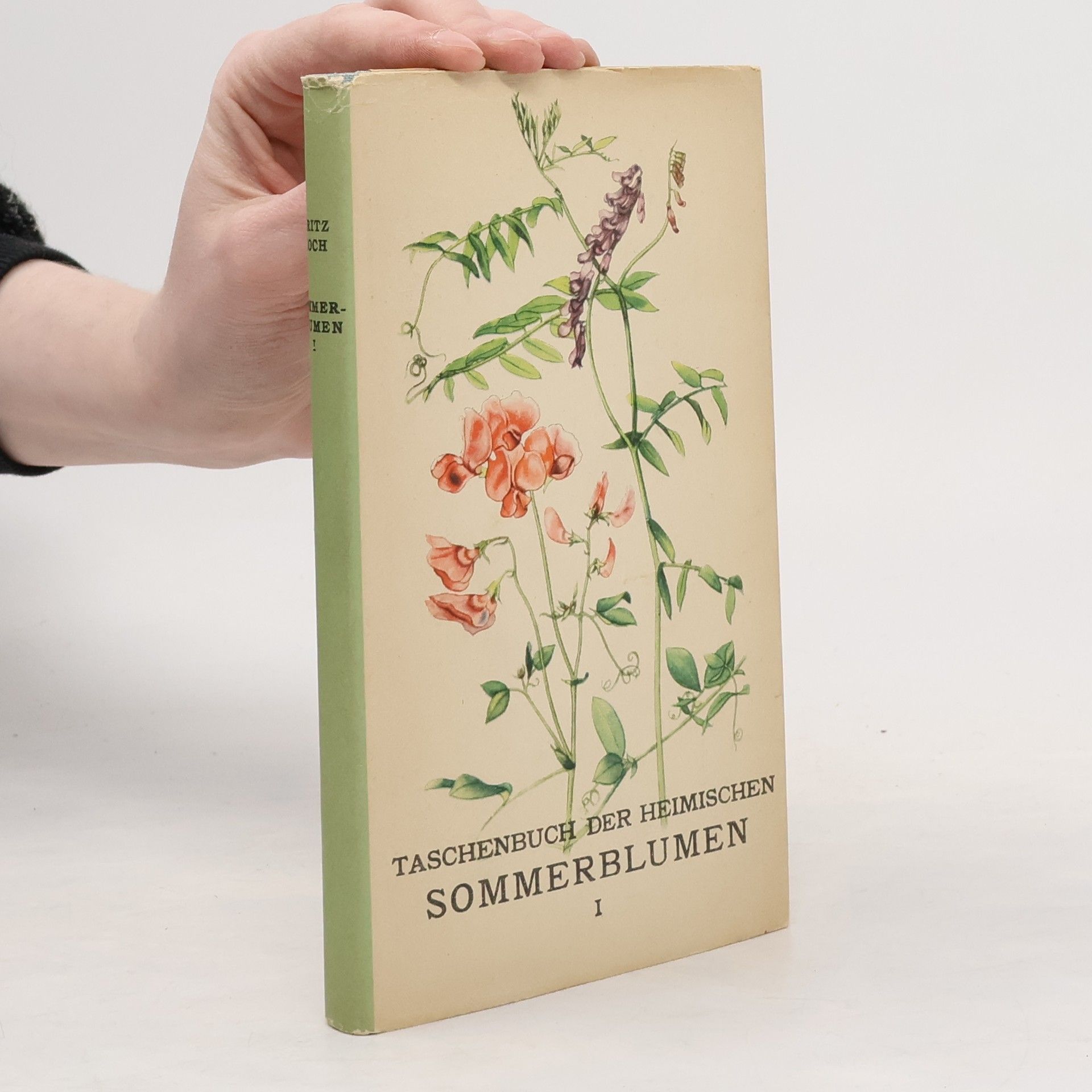 Fritz Koch Taschenbuch der heimischen Sommerblumen I