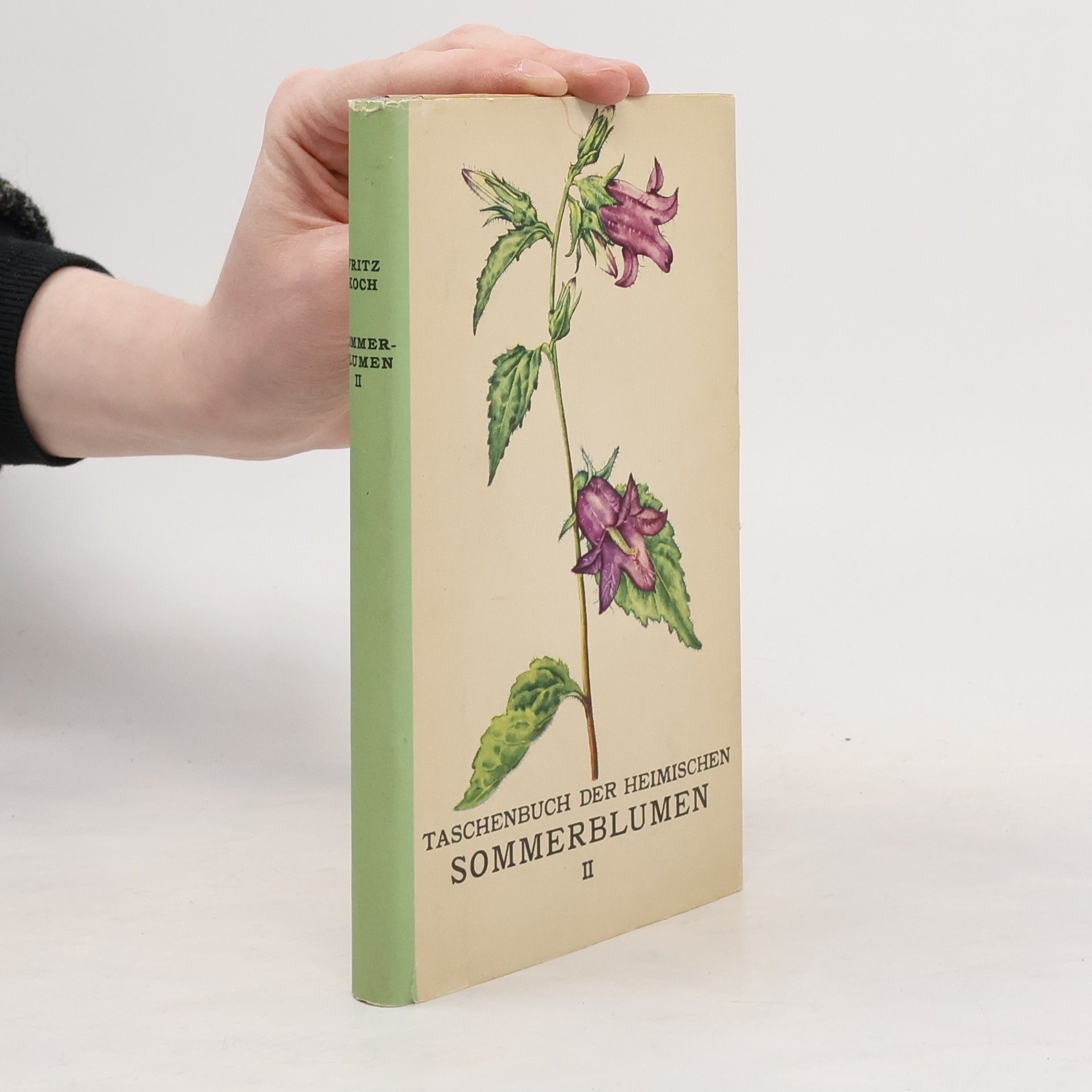 Fritz Koch Taschenbuch der heimischen Sommerblumen II