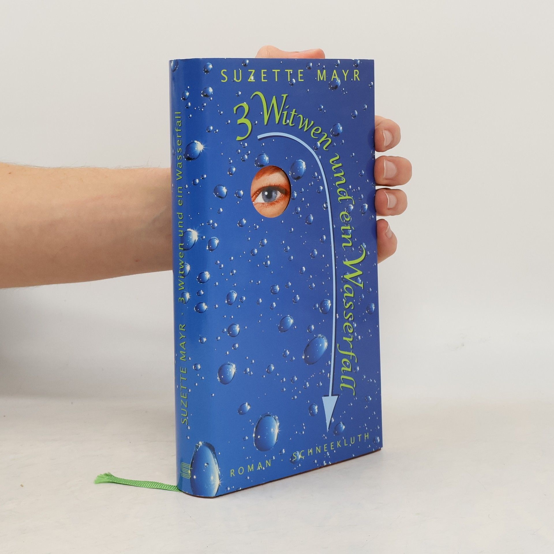 Suzette Mayr Drei Witwen und ein Wasserfall